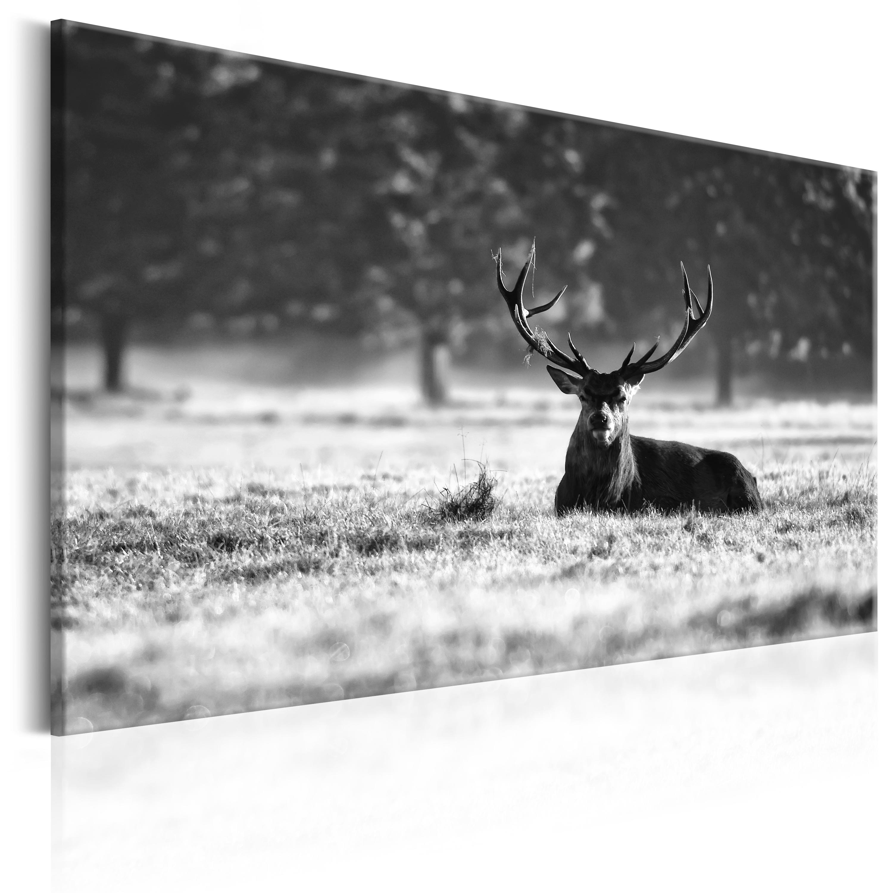 Canvas Print - Lying Deer - 120x80