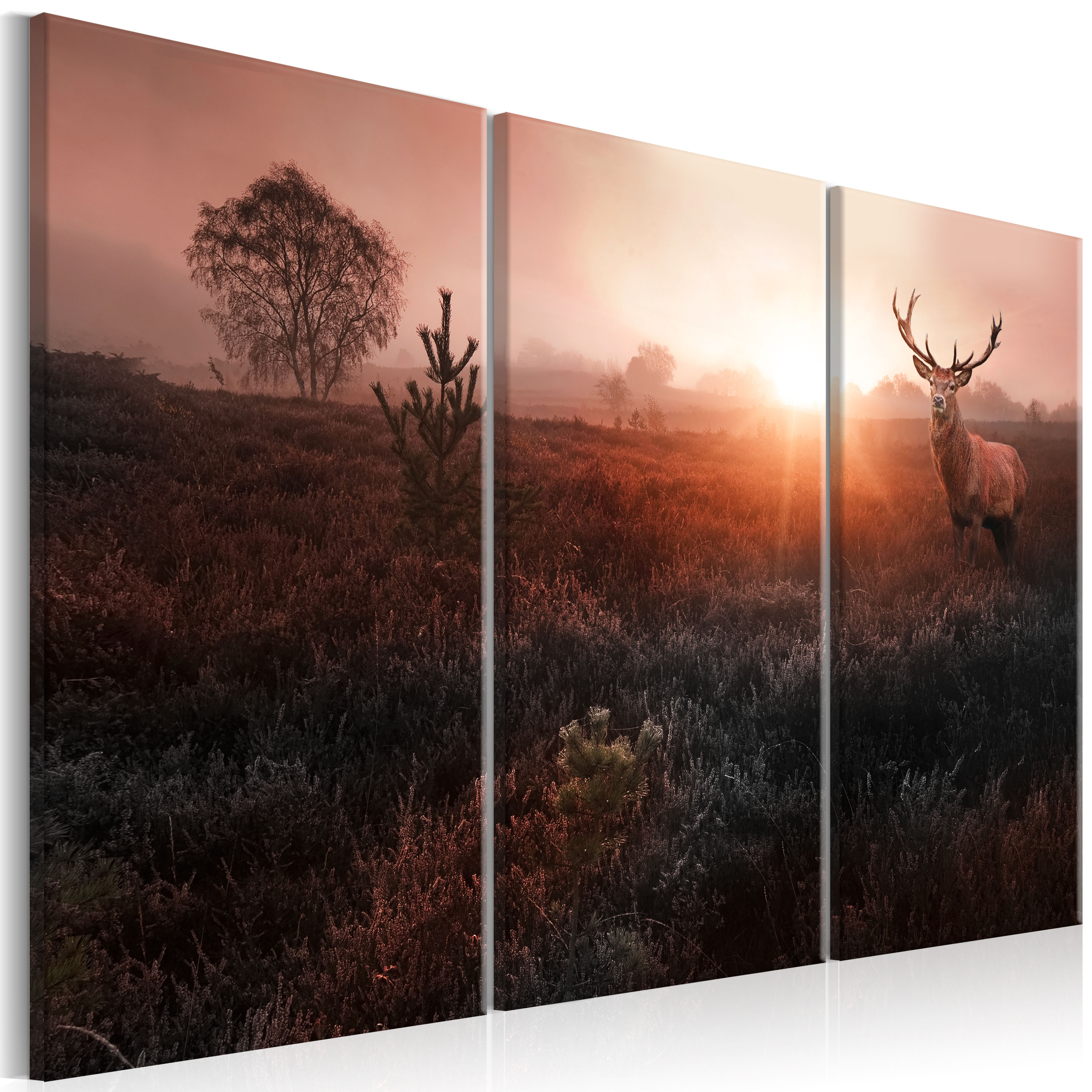 Canvas Print - Deer in the Sunshine I - 90x60