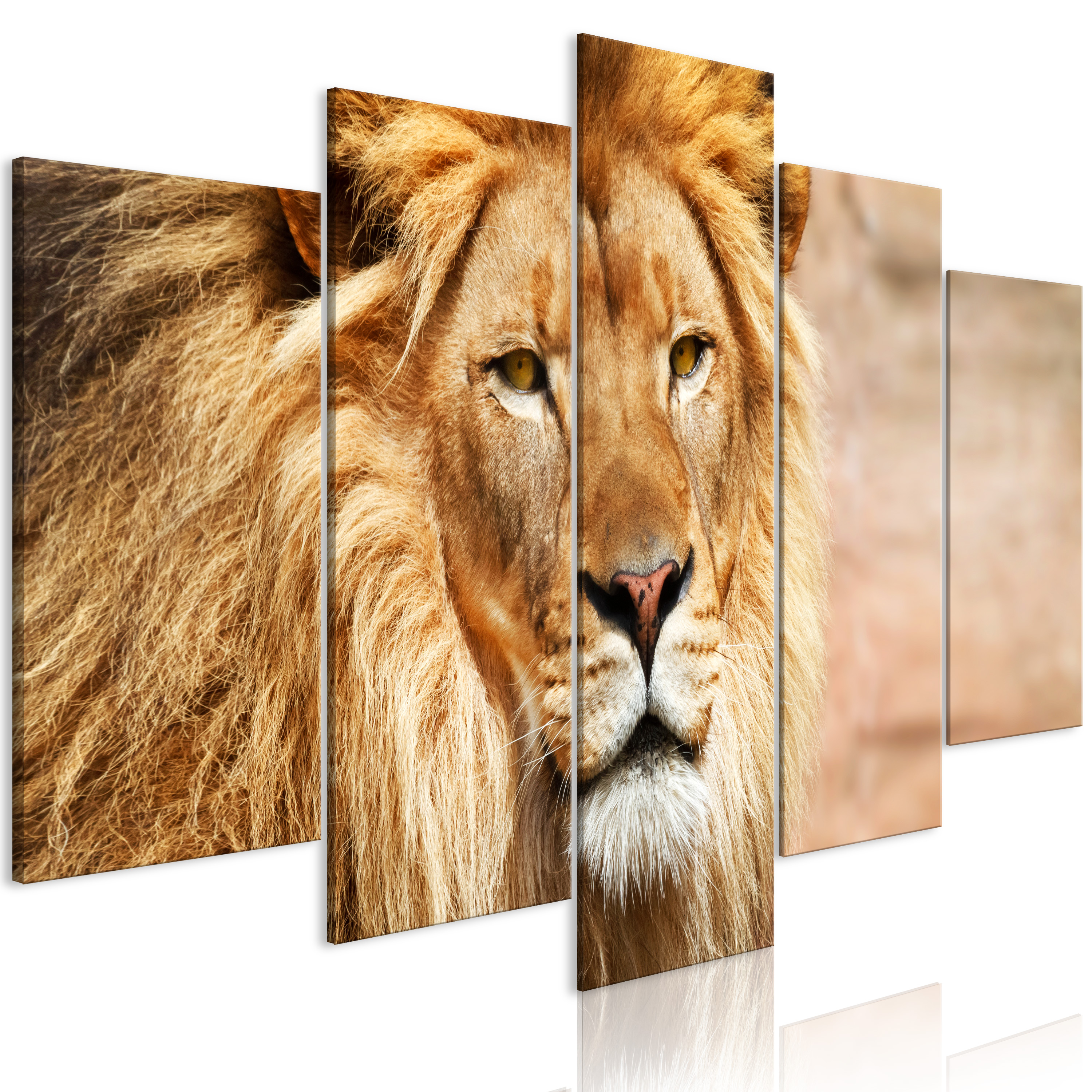 Canvas Print - The King of Beasts (5 Parts) Wide Orange - 200x100