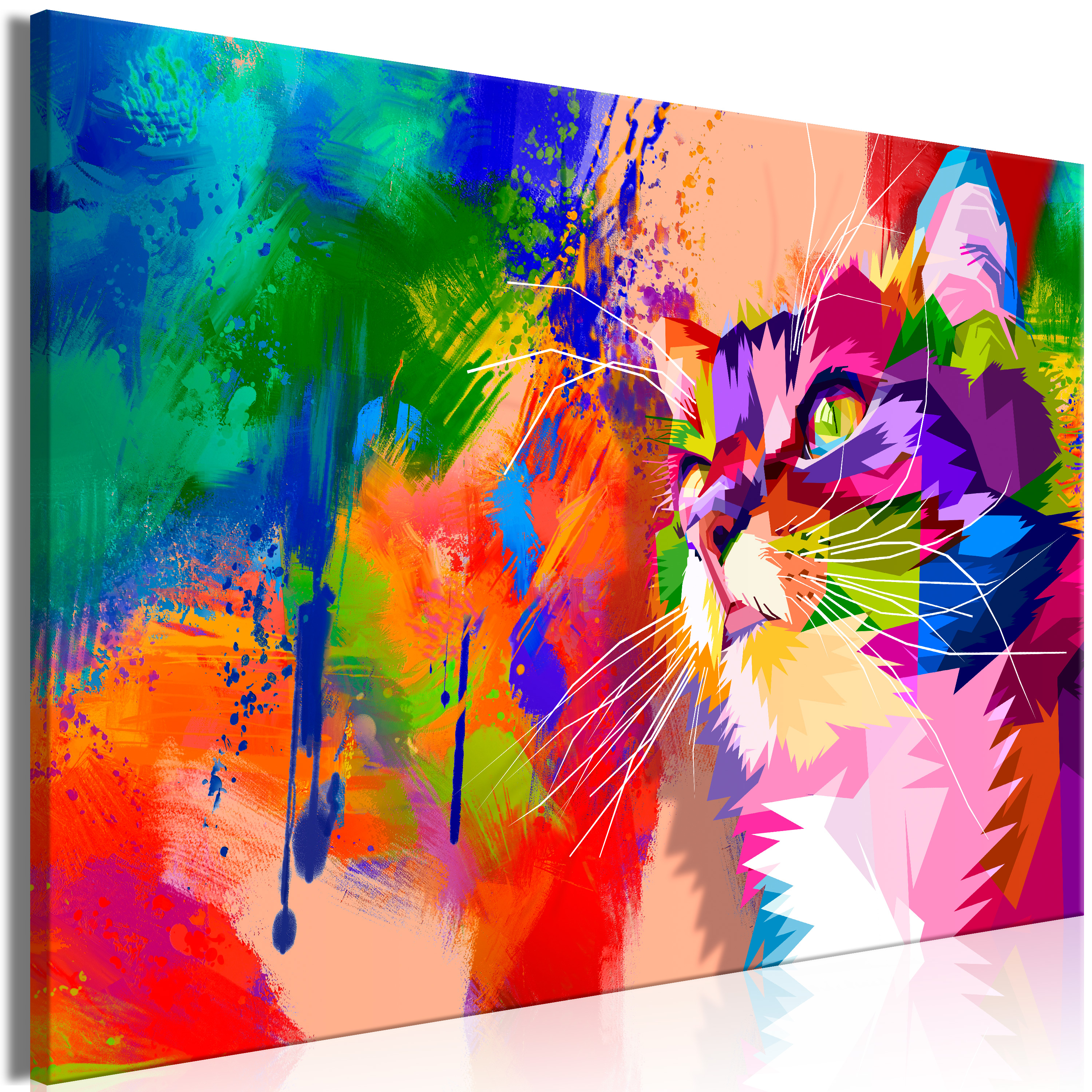 Obraz - Colourful Cat (1 Part) Wide