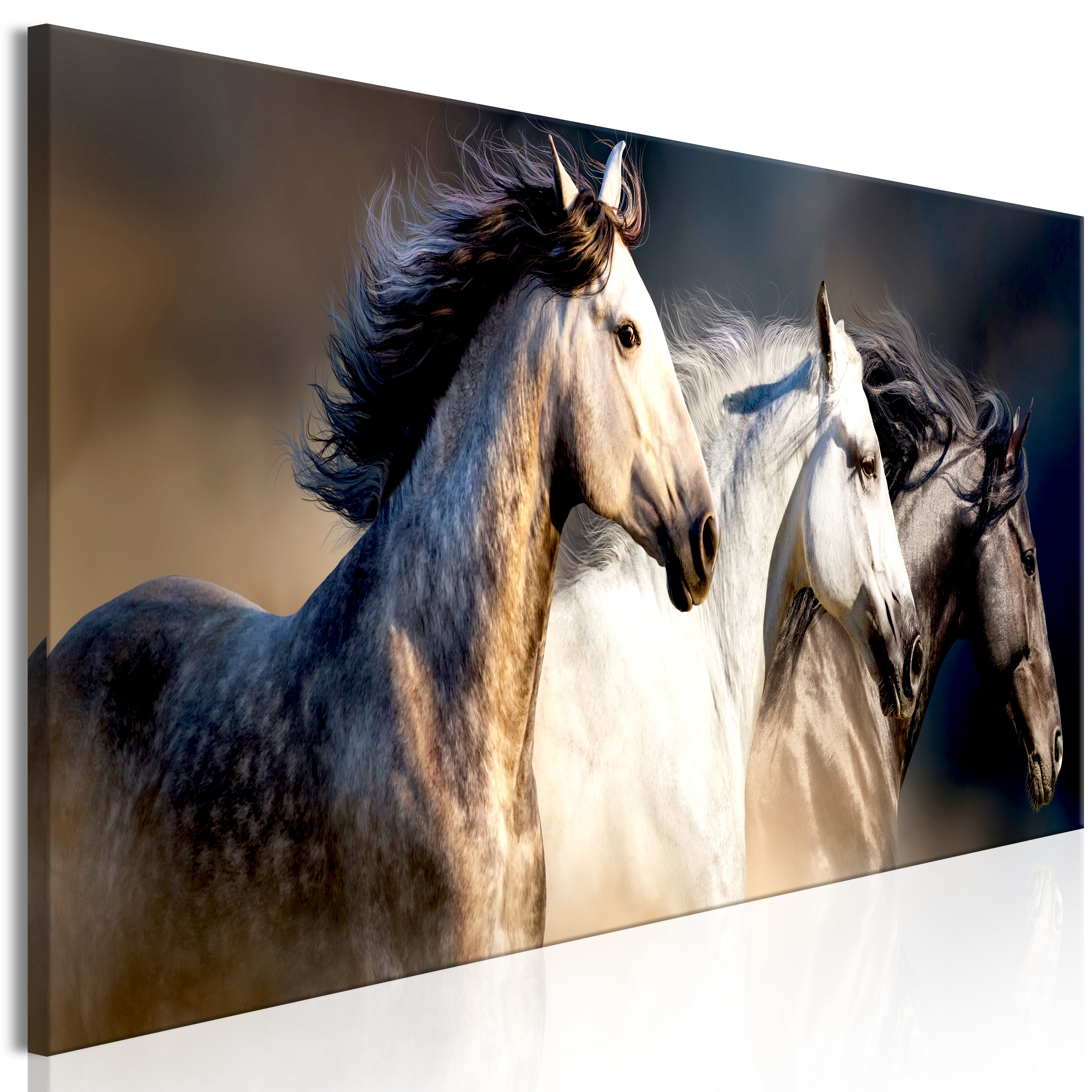 Canvas Print - Sons of the Wind (1 Part) Narrow - 150x50