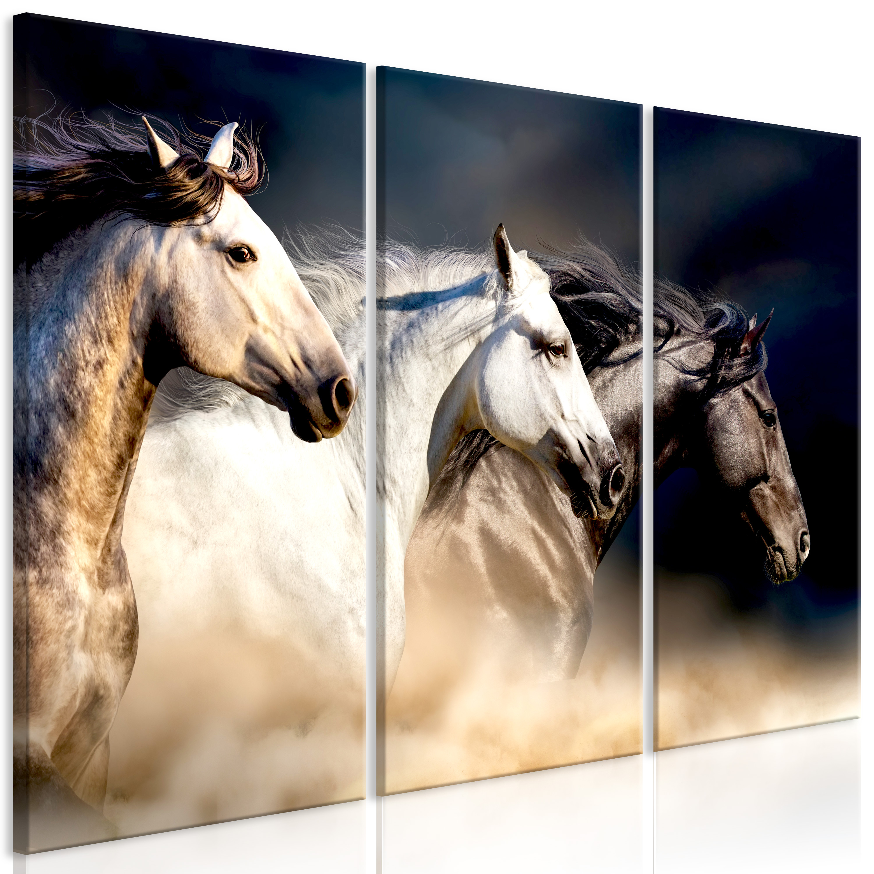 Canvas Print - Sons of the Wind (3 Parts) - 90x60