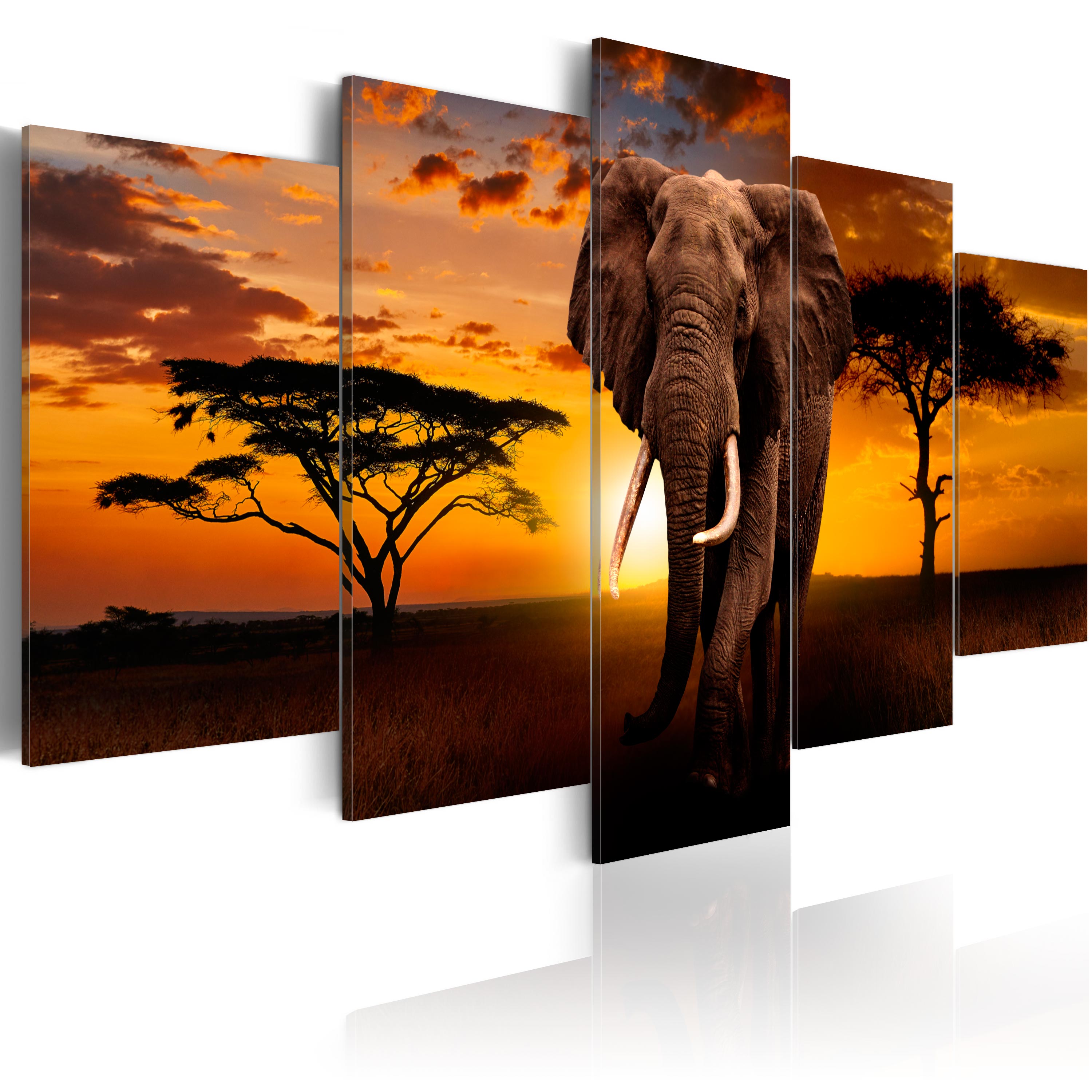 AFRIKA SAVANNE ELEFANT ETHNO Wandbilder xxl Bilder Vlies Leinwand 030112-57