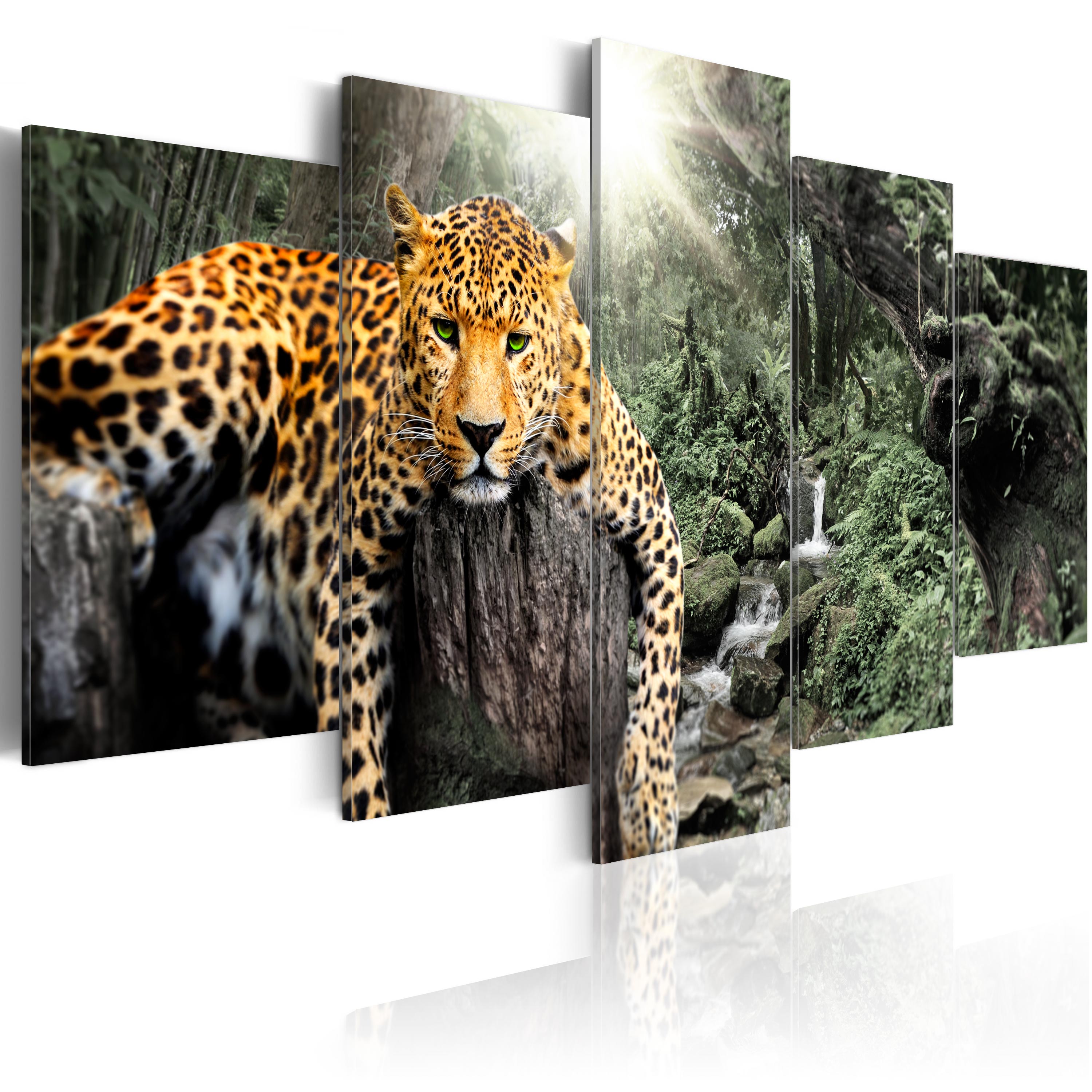 WANDBILDER XXL BILDER Afrika Leopard VLIES LEINWAND BILD KUNSTDRUCK 000314P 