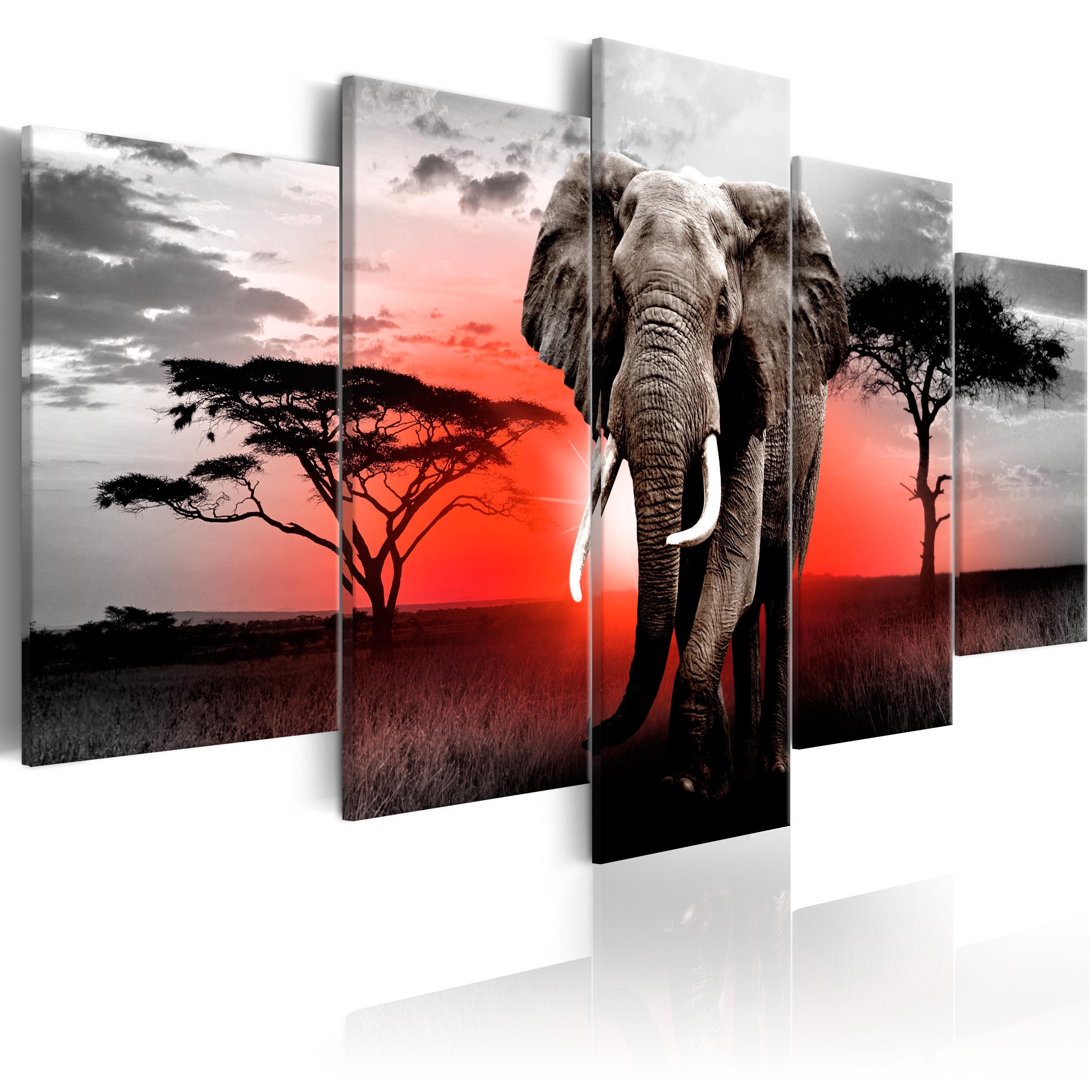 ELEPHANT ANIMALS Canvas Print Framed Wall Art Picture Photo Image g-B