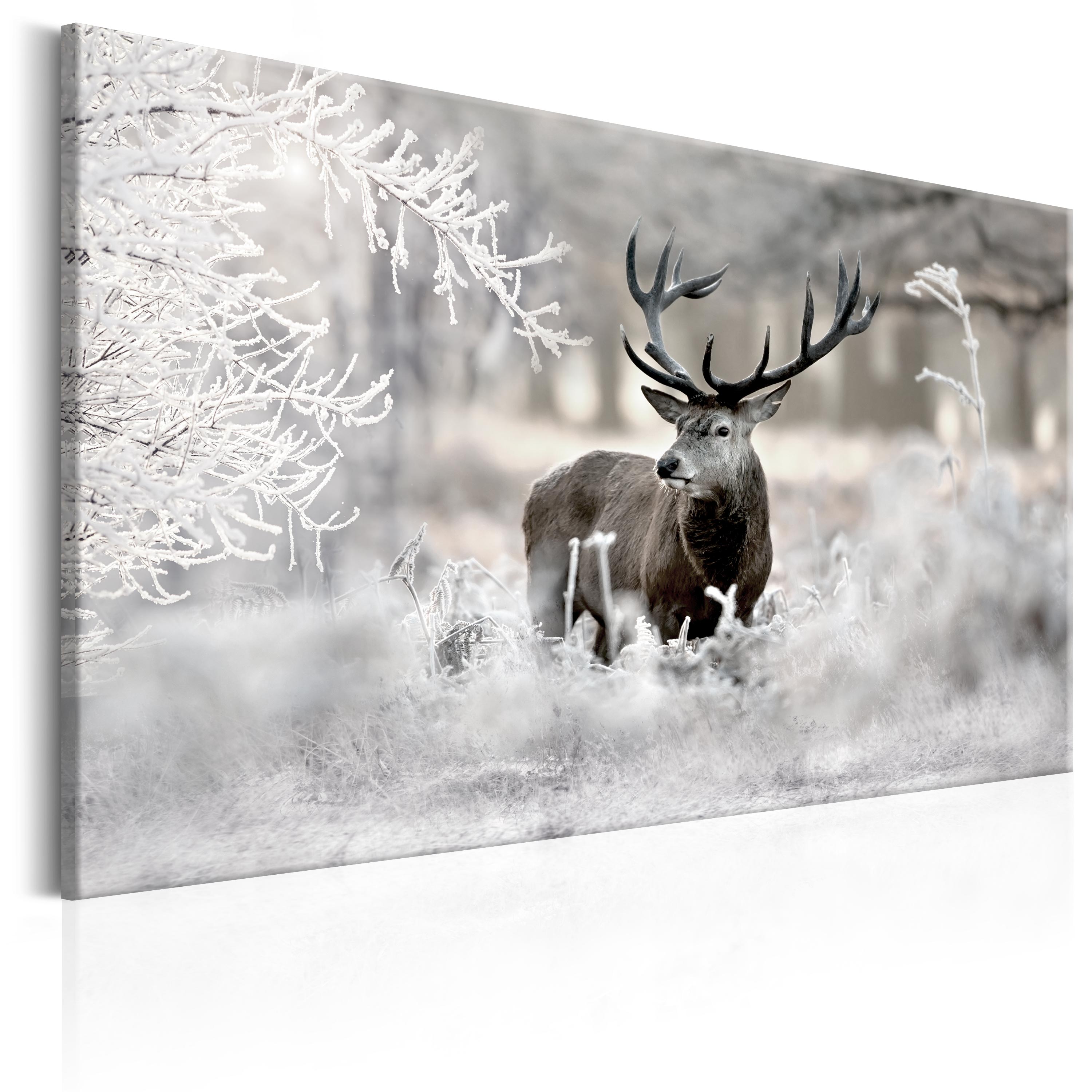 Canvas Print - Lonely Deer - 120x80