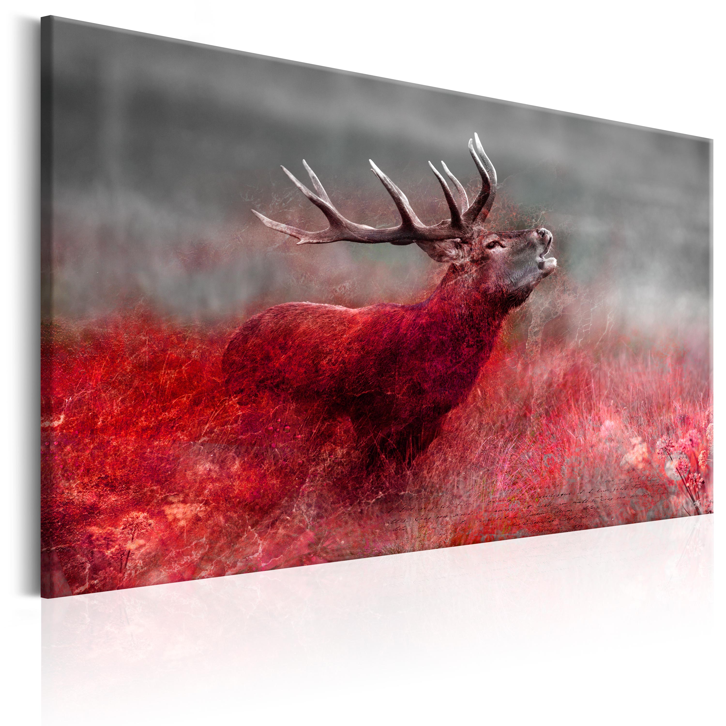 Canvas Print - Bloody Field - 90x60