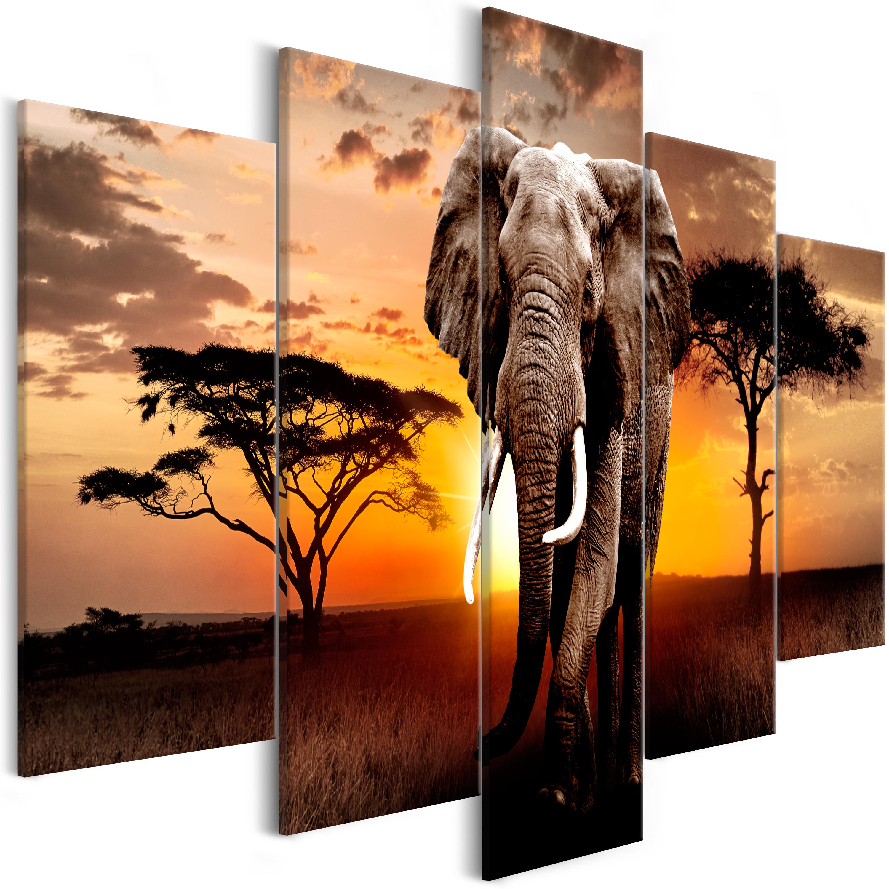 Canvas Print - Wandering Elephant (5 Parts) Wide - 225x100