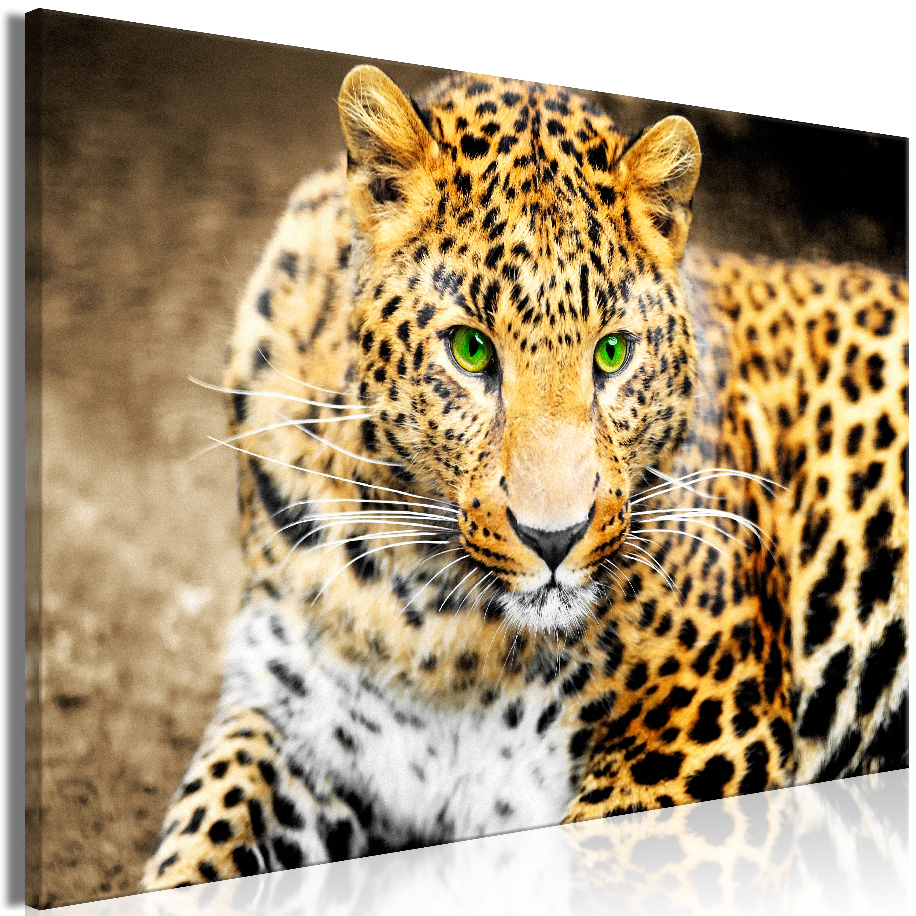 Leopardenmuster • wandsticker Leopard, Geparden, texturierte
