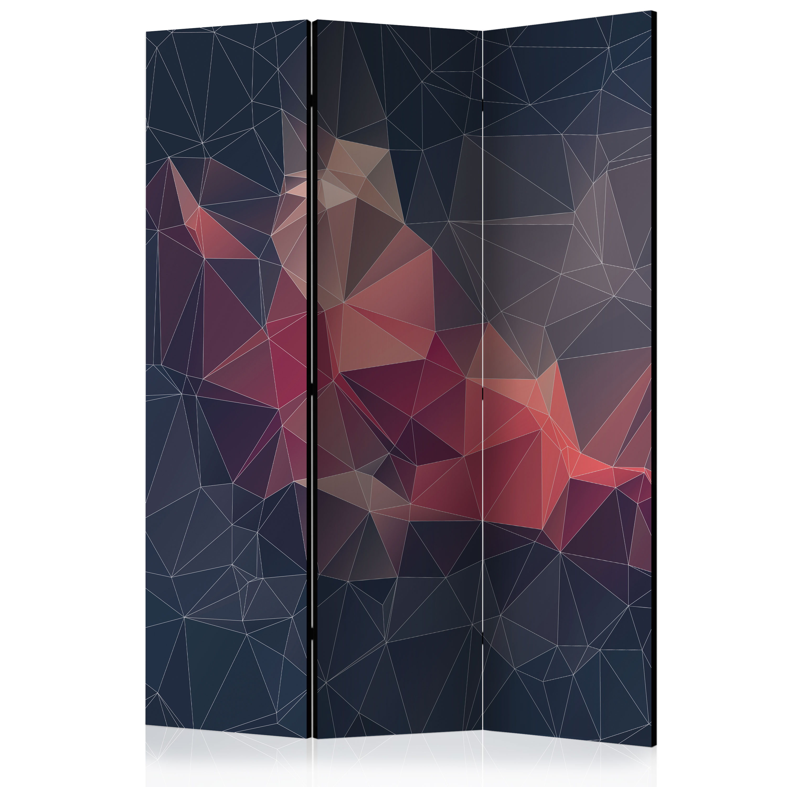 DECORATIVE PHOTO FOLDING SCREEN WALL ROOM DIVIDER ABSTRACTION! 2 SIZES
