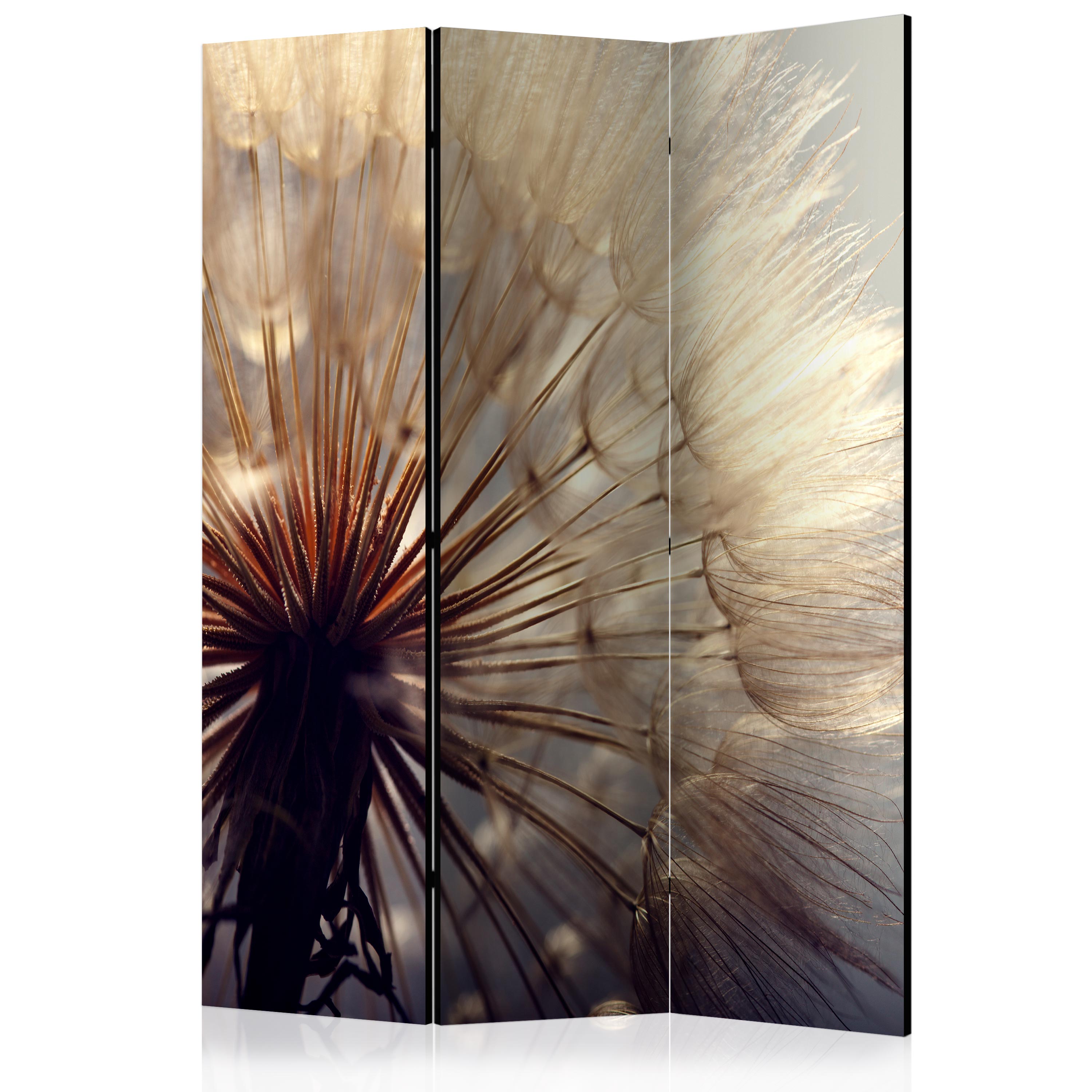Room Divider - Dandelion Kiss [Room Dividers] - 135x172