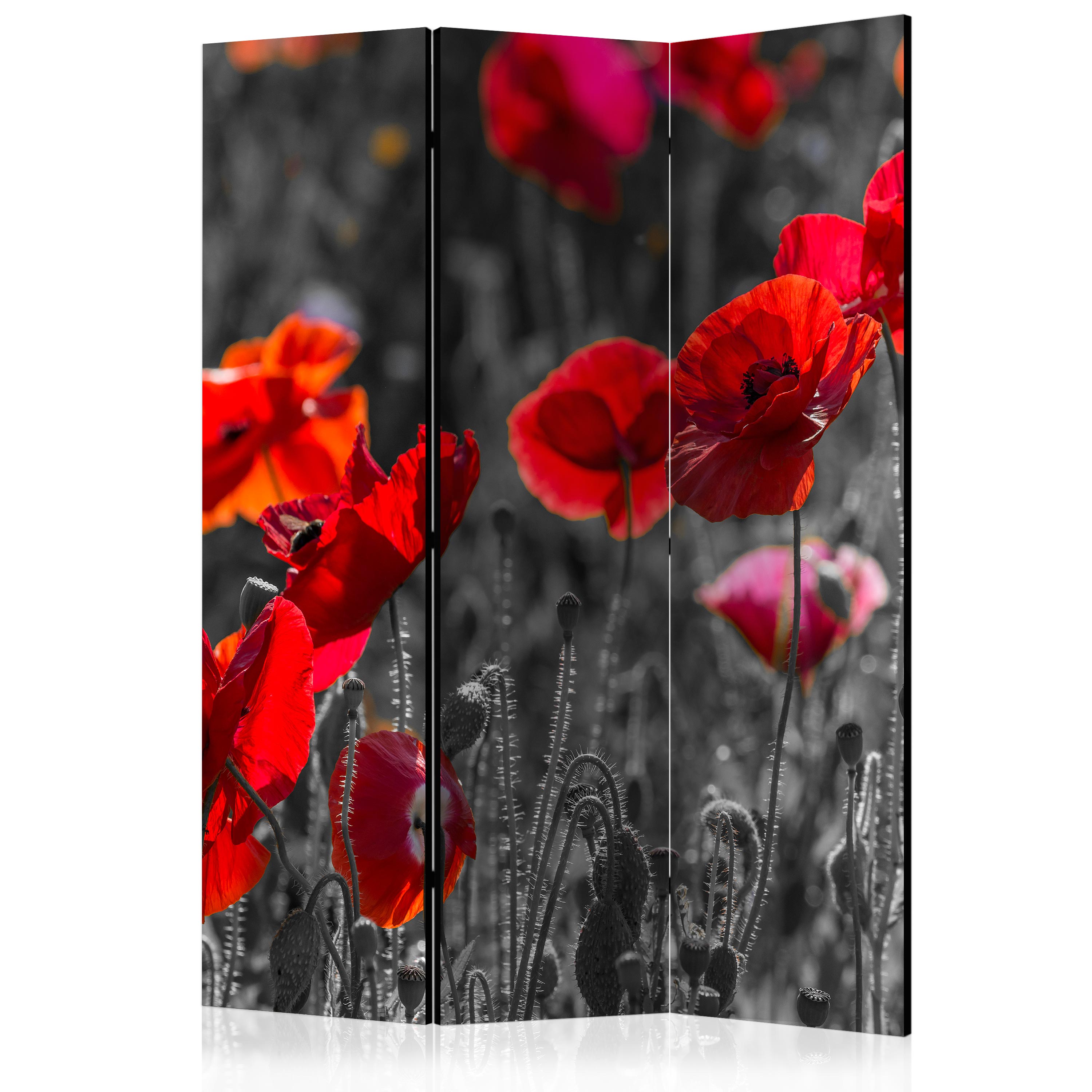 Room Divider - Red Poppies [Room Dividers] - 135x172