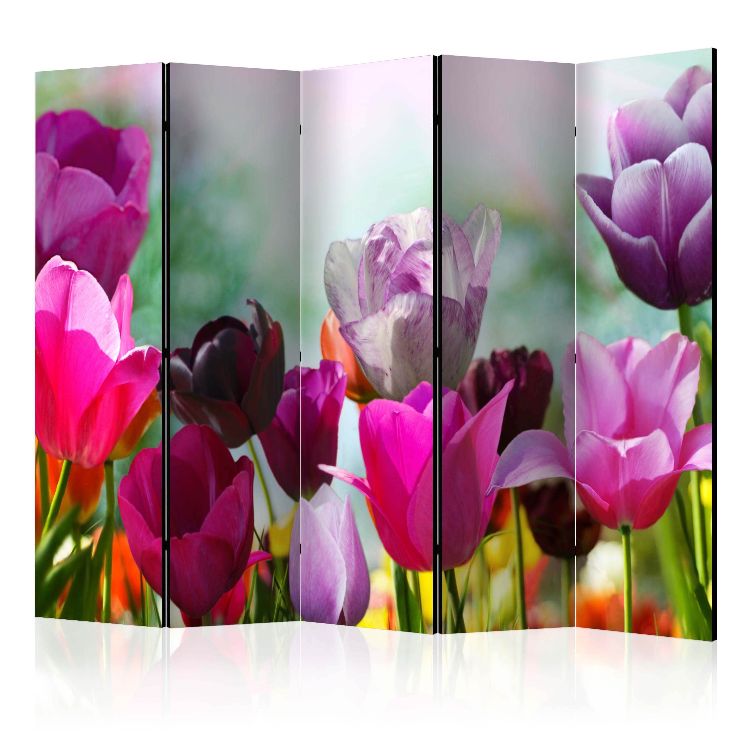Room Divider - Beautiful Tulips II [Room Dividers] - 225x172