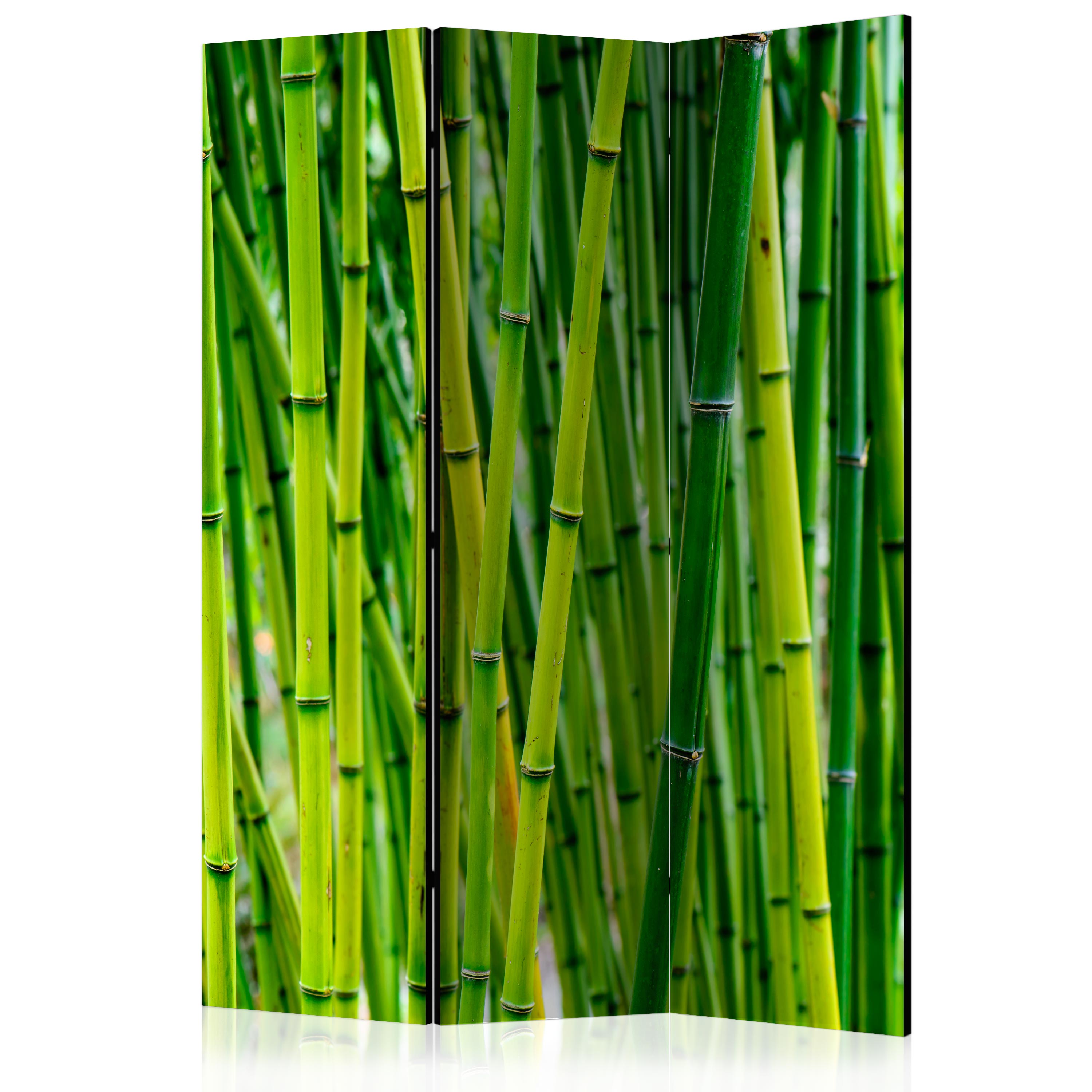 Room Divider - Bamboo Forest [Room Dividers] - 135x172