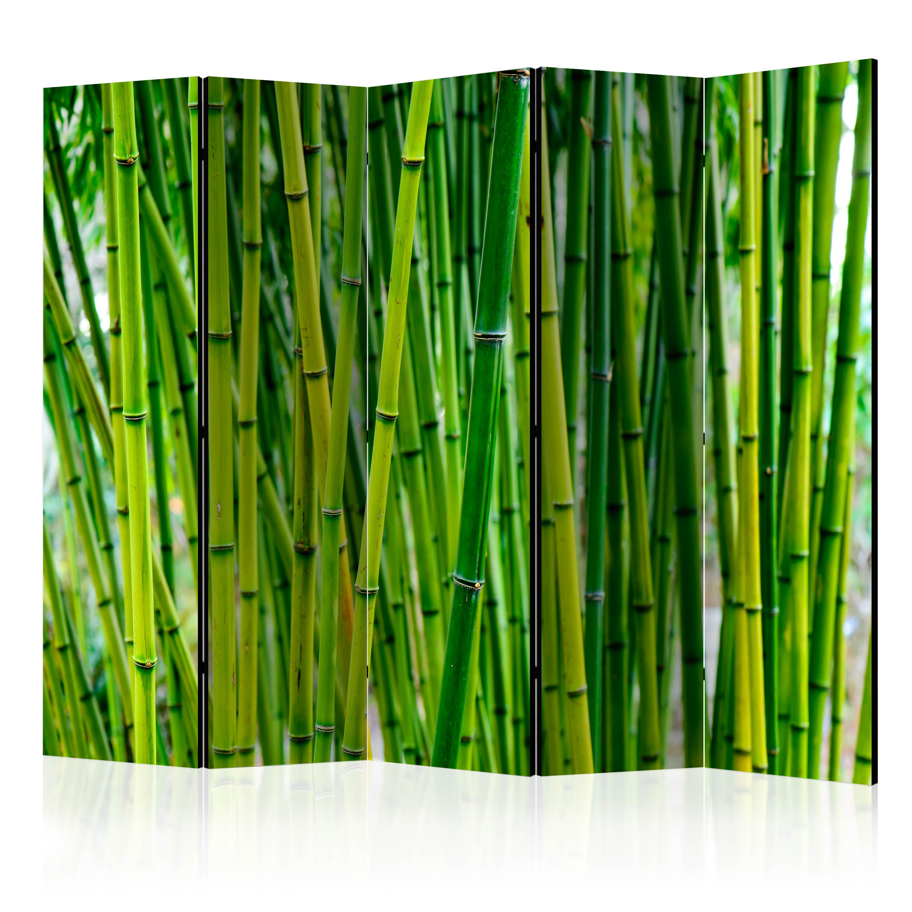 Room Divider - Bamboo Forest II [Room Dividers] - 225x172