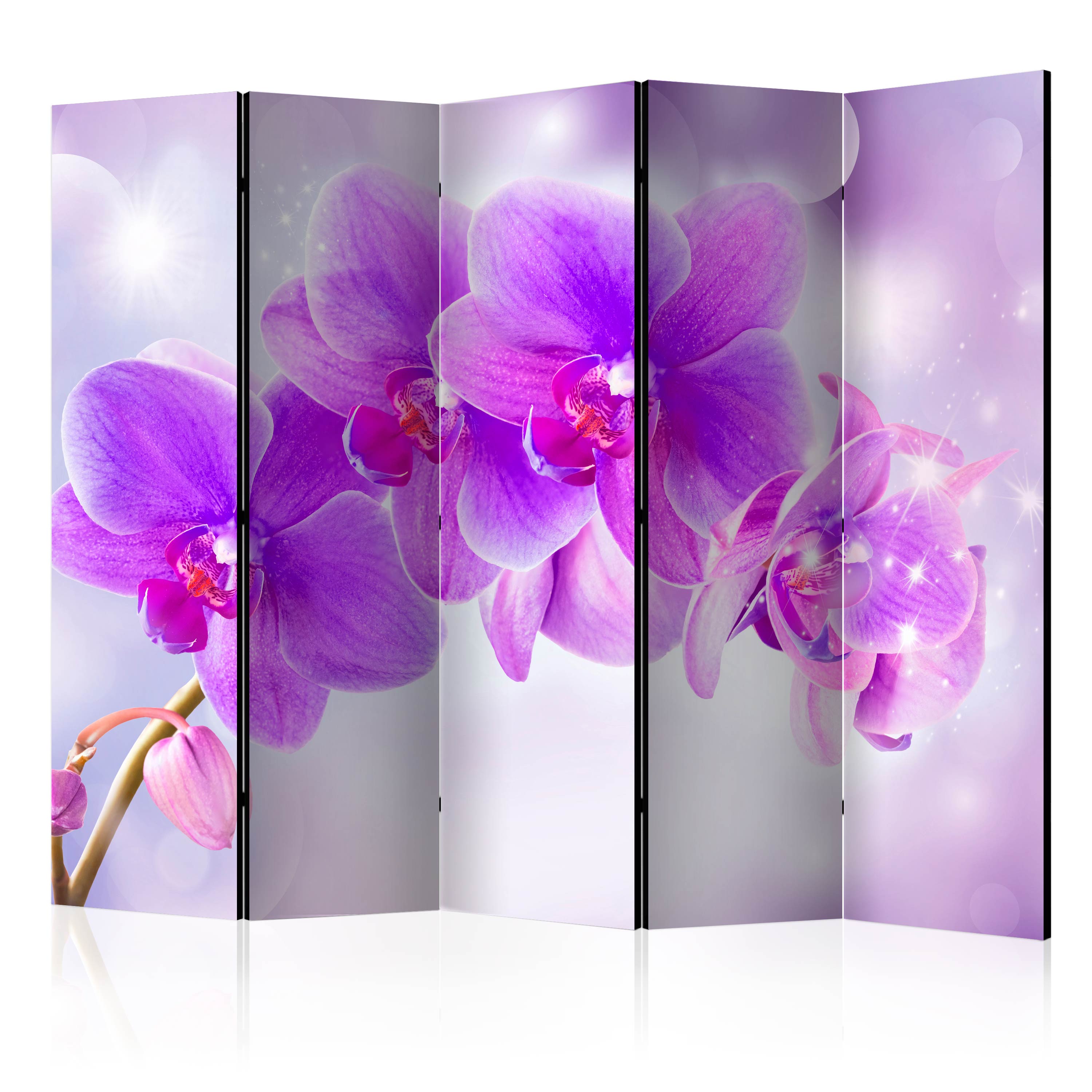 Room Divider - Purple Orchids II [Room Dividers] - 225x172