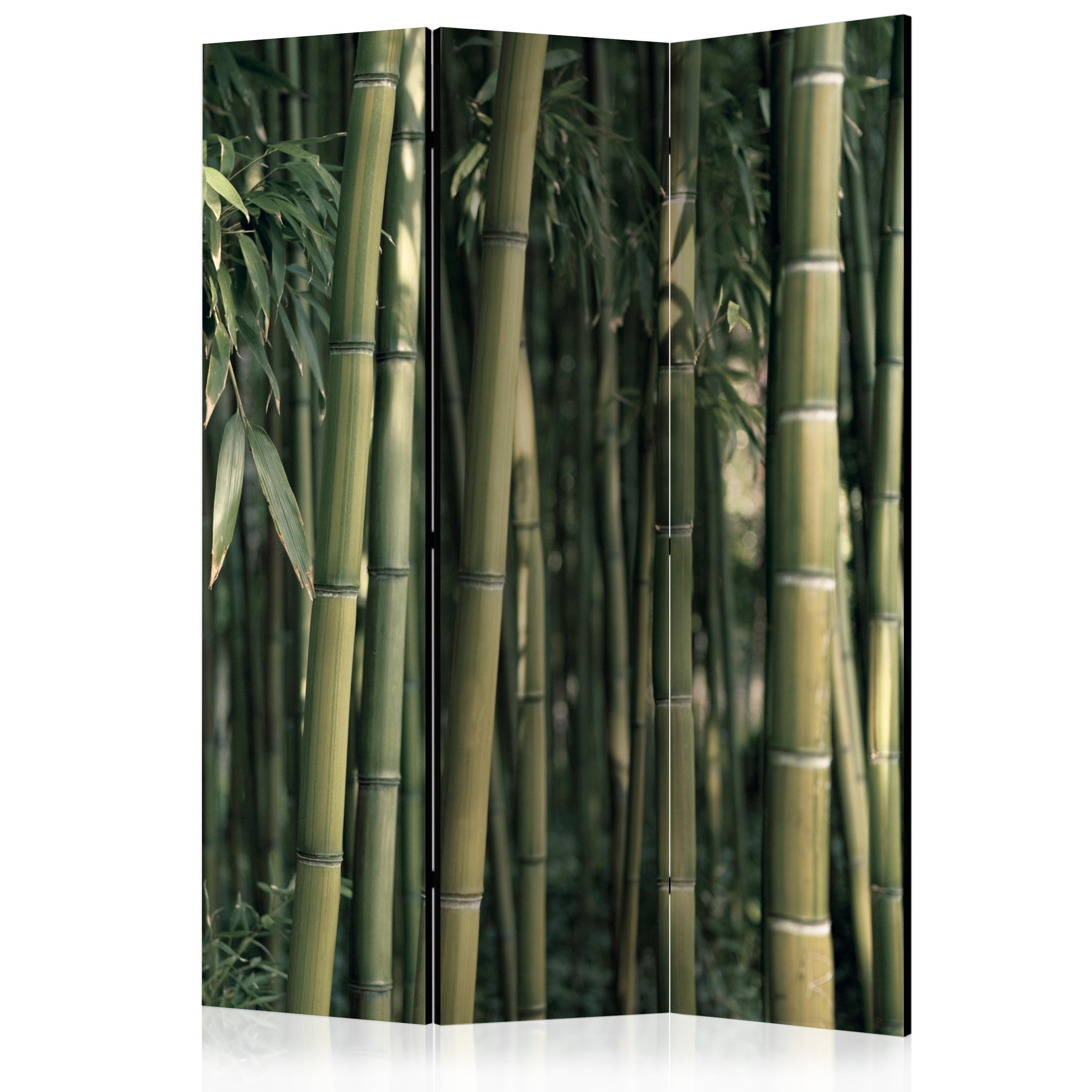 Room Divider - Bamboo Exotic [Room Dividers] - 135x172