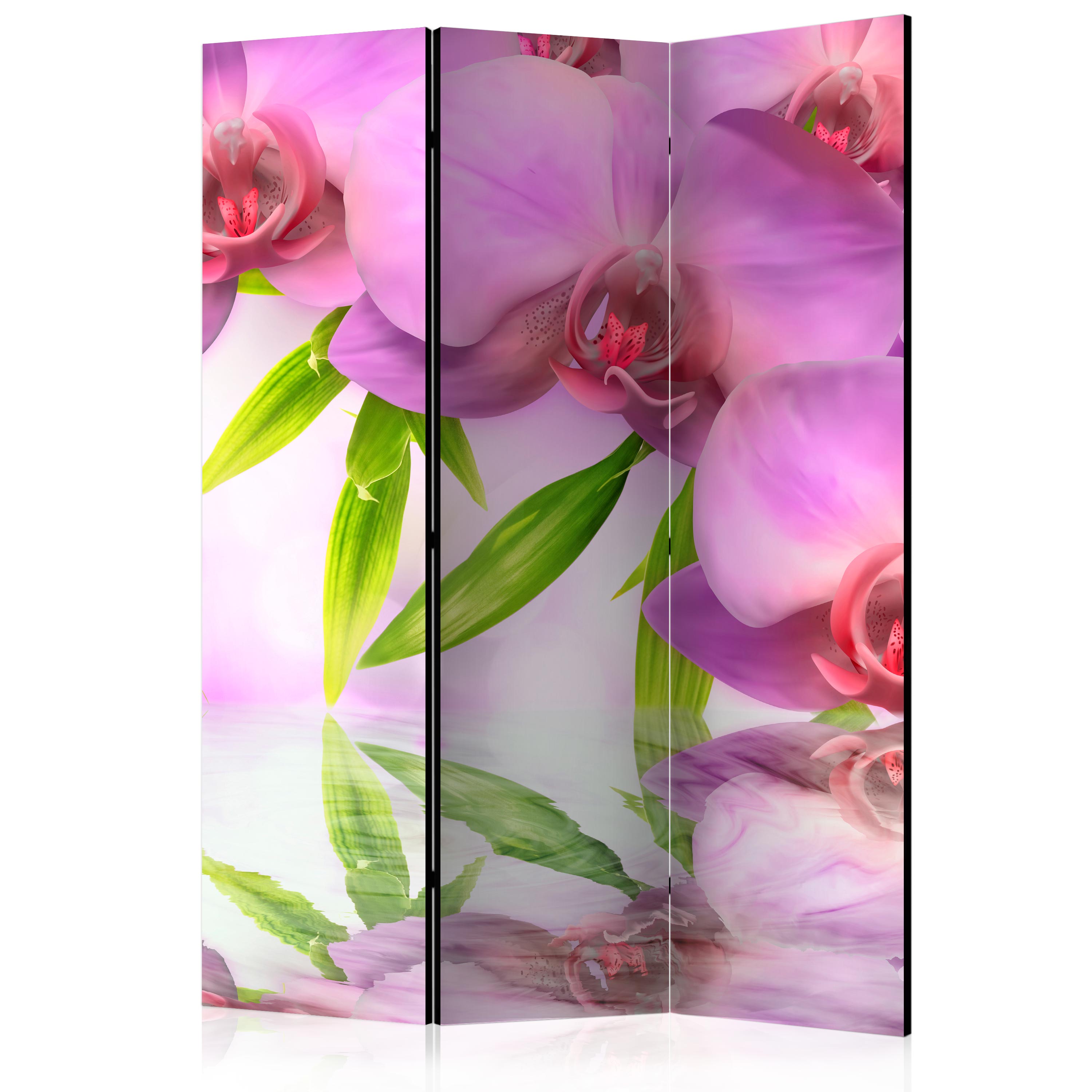 Room Divider - Orchid Spa [Room Dividers] - 135x172
