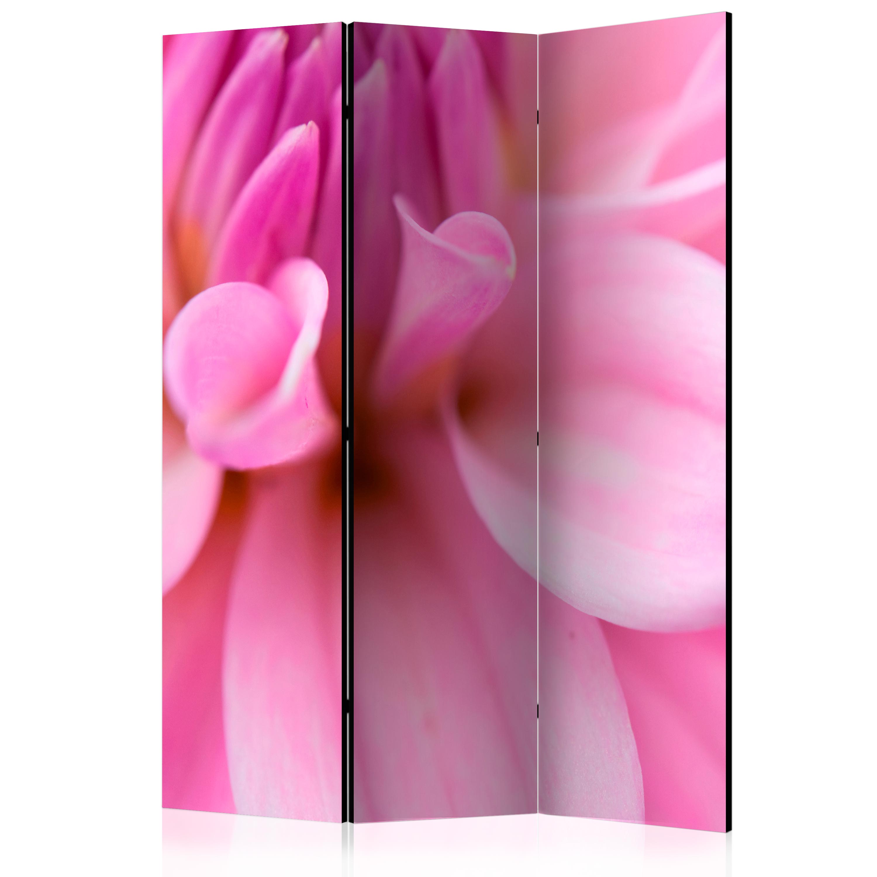 Room Divider - Flower petals - dahlia [Room Dividers] - 135x172