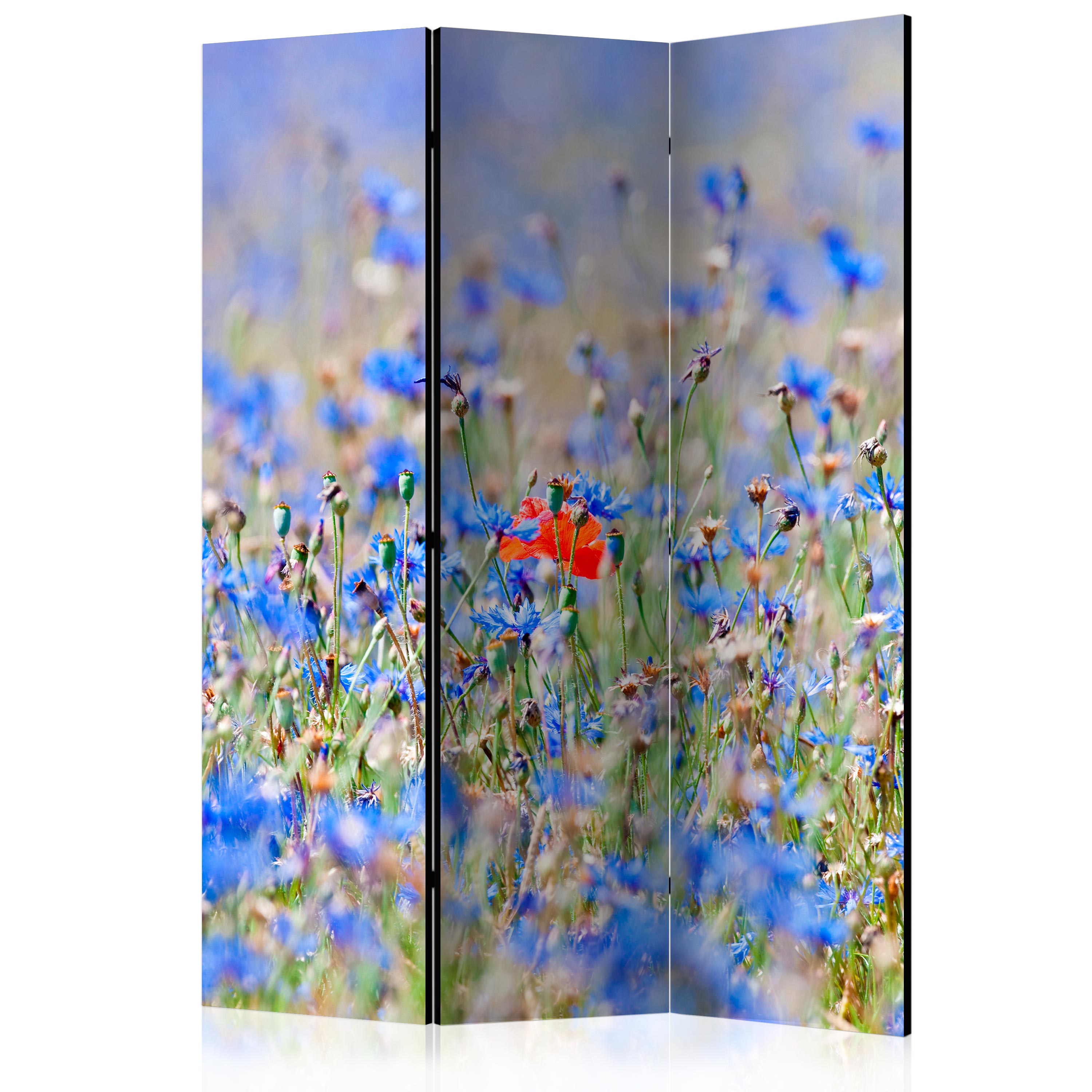 Biombo - A sky-colored meadow - cornflowers [Room Dividers] - 135x172