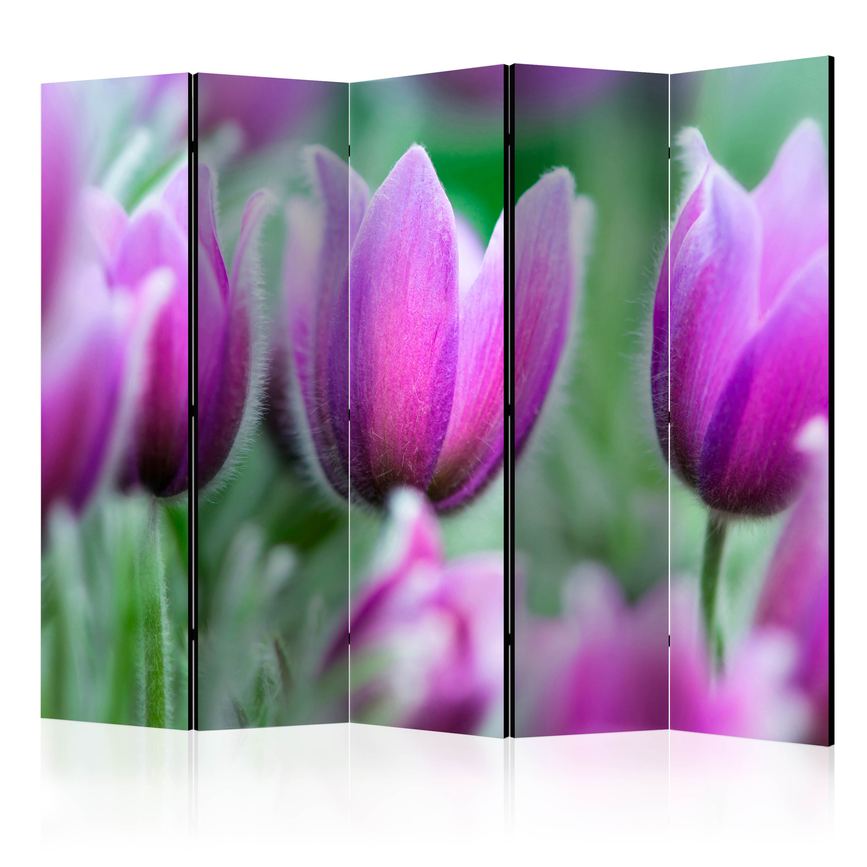 Room Divider - Purple spring tulips II [Room Dividers] - 225x172
