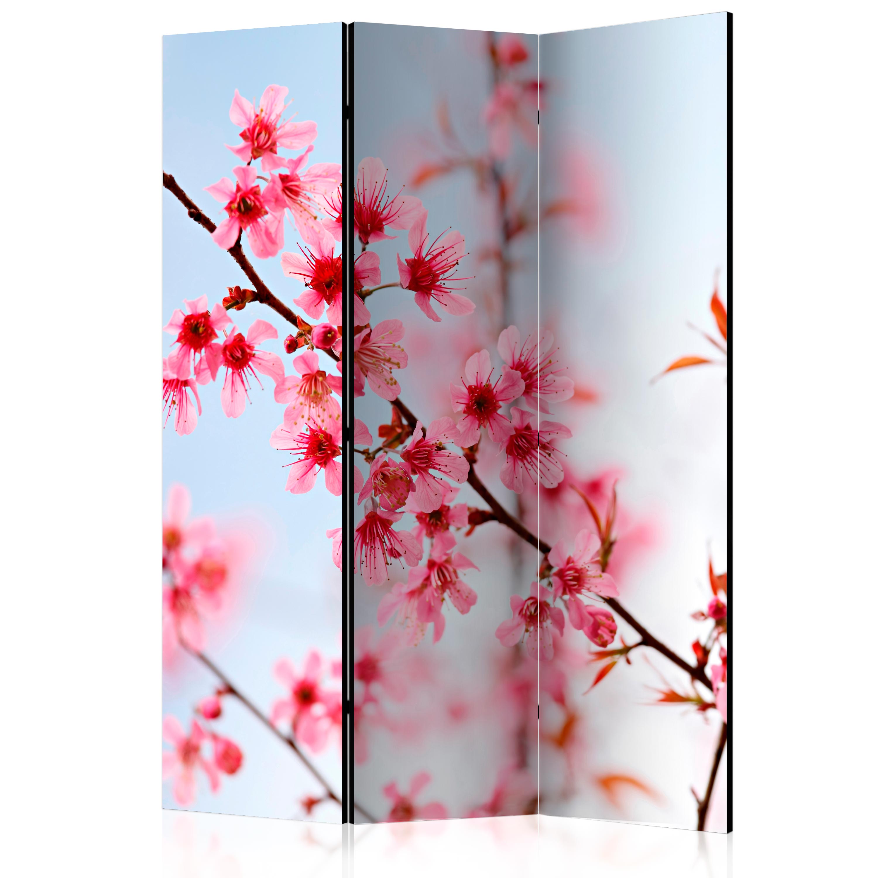 Room Divider - Symbol of Japan - sakura flowers [Room Dividers] - 135x172