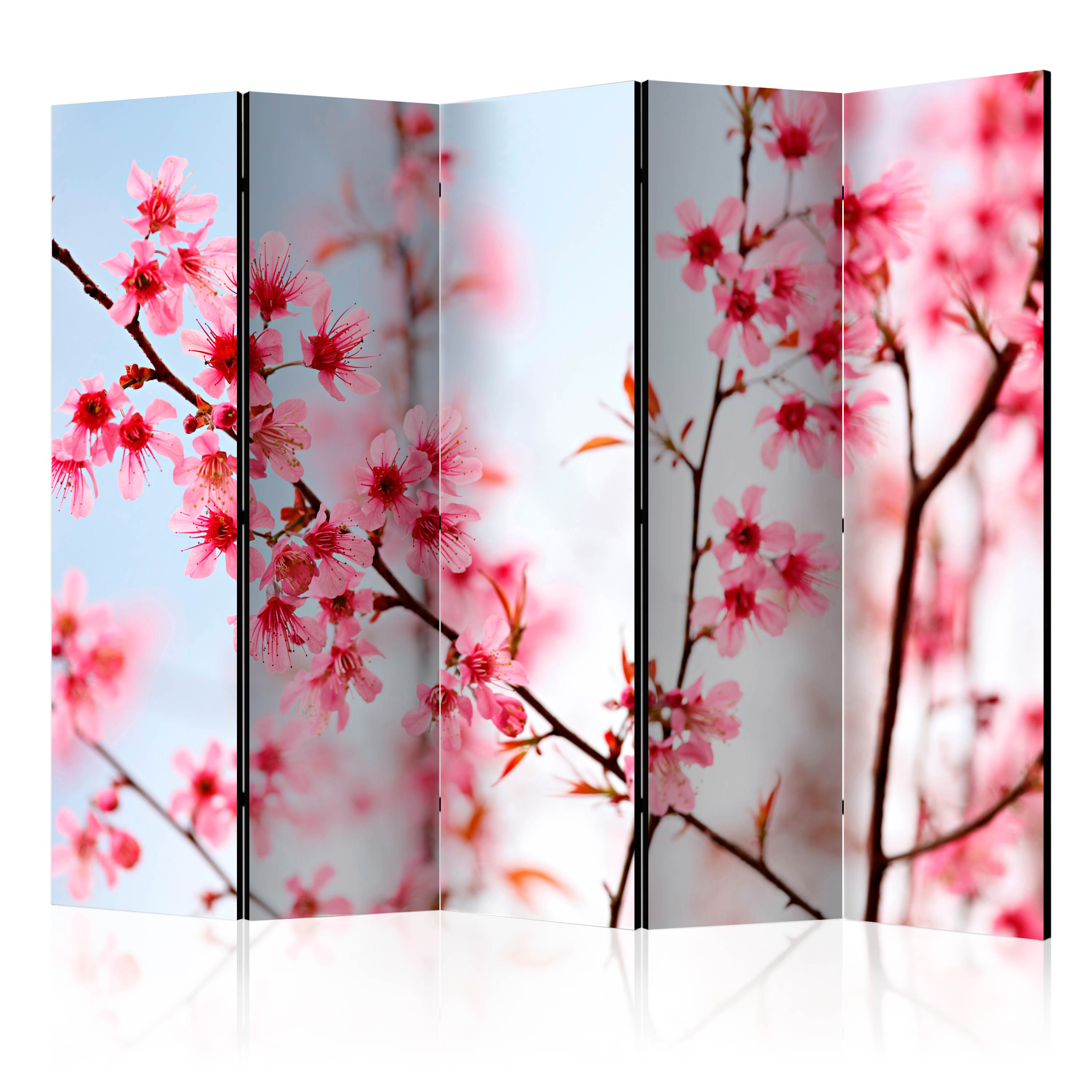 Room Divider - Symbol of Japan - sakura flowers II [Room Dividers] - 225x172