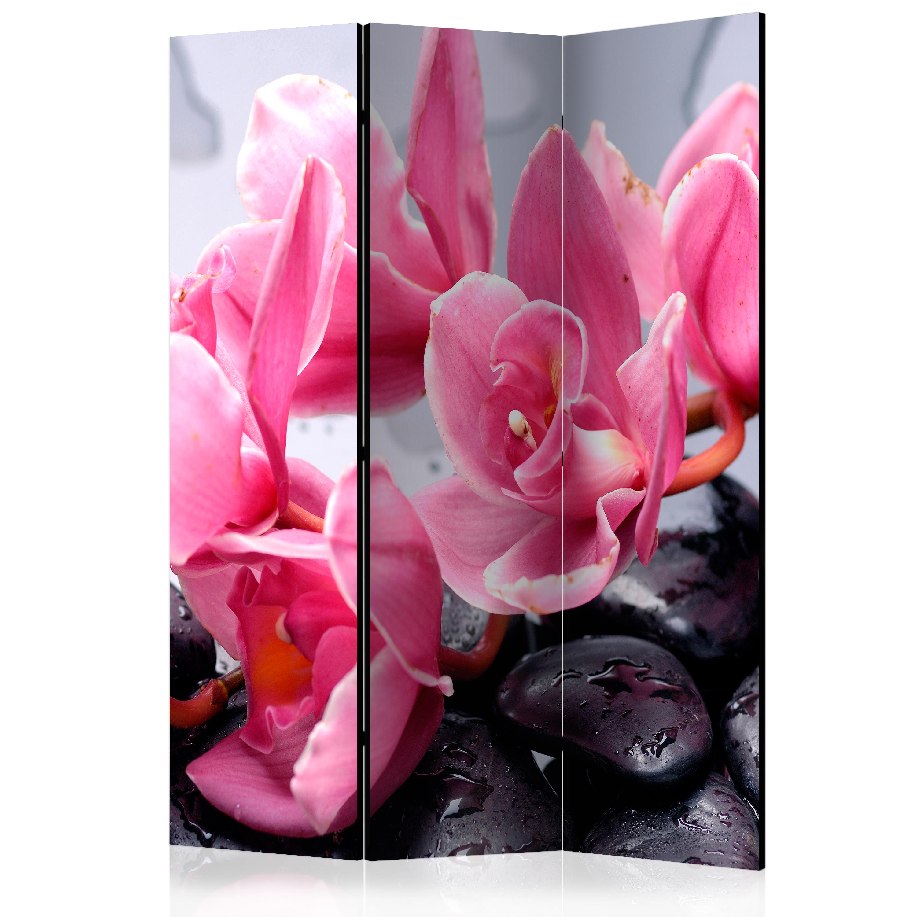 Room Divider - Orchid flowers with zen stones [Room Dividers] - 135x172