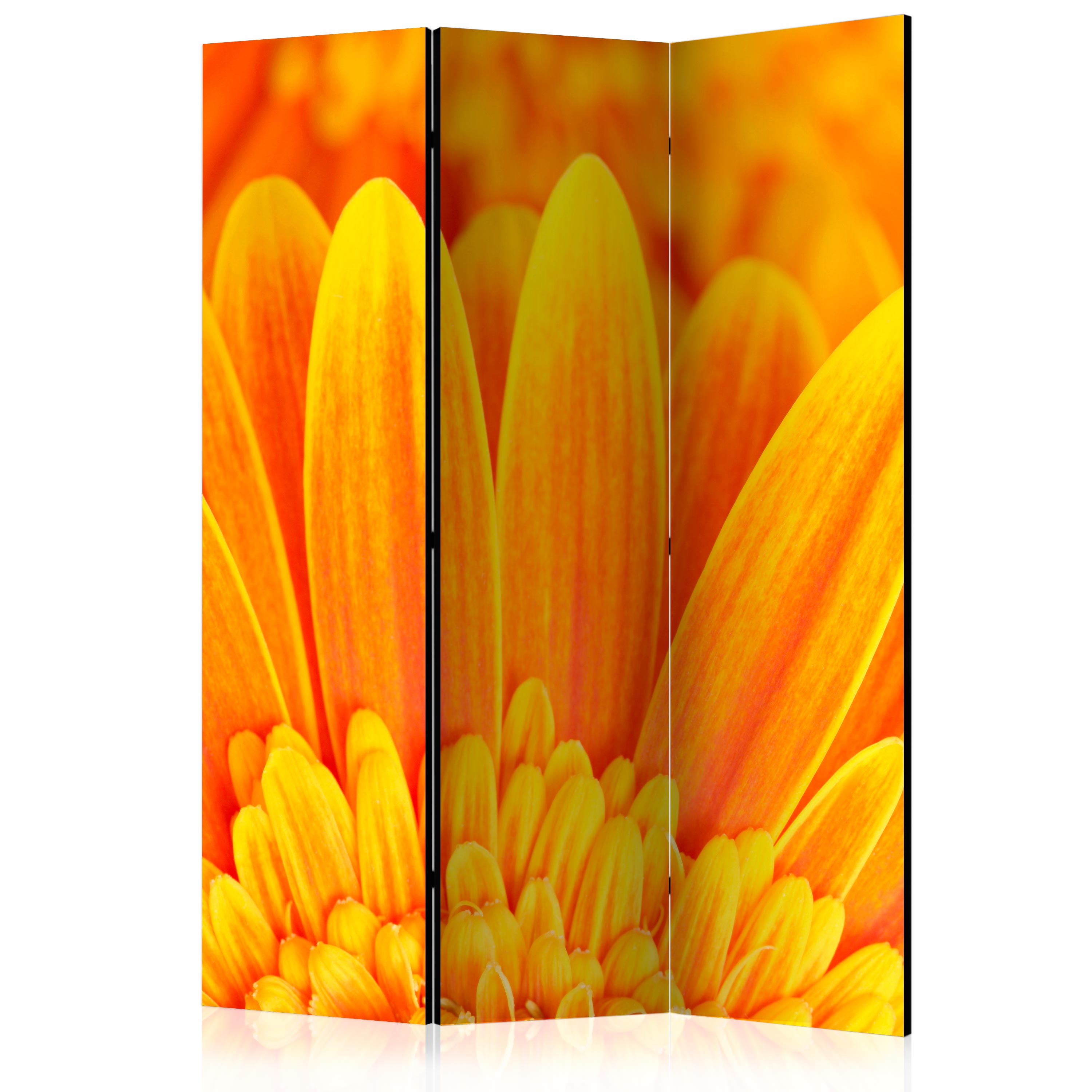 Room Divider - Yellow gerbera daisies [Room Dividers] - 135x172