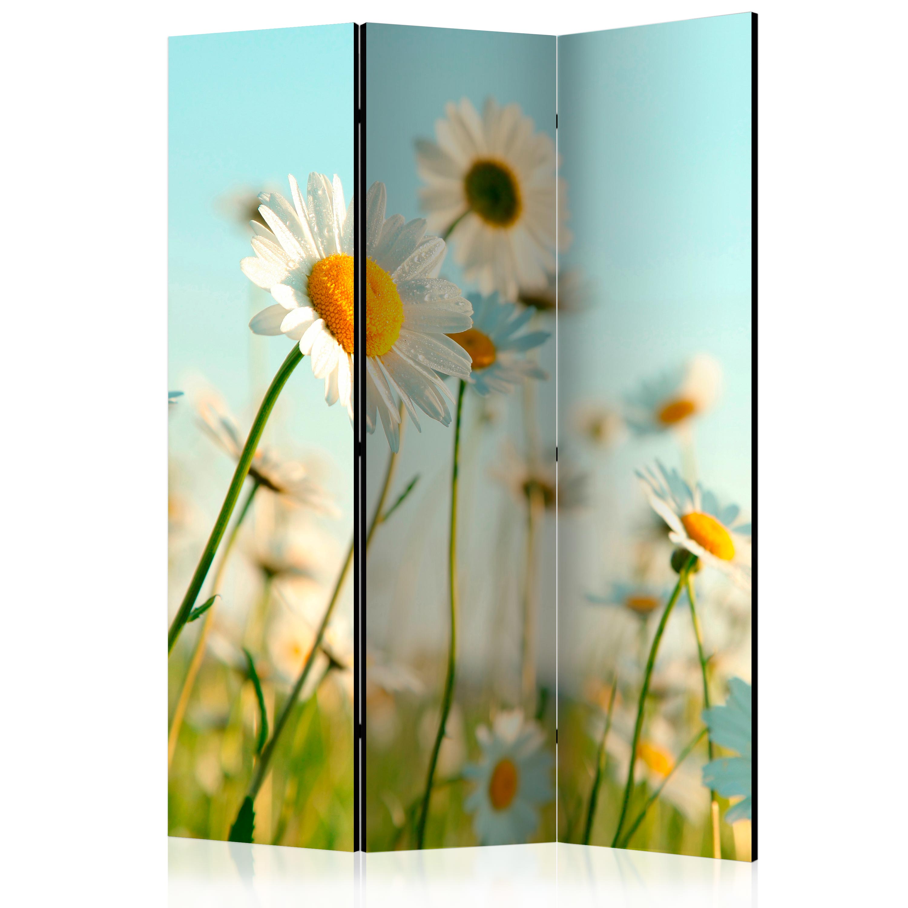 Room Divider - Daisies - spring meadow [Room Dividers] - 135x172