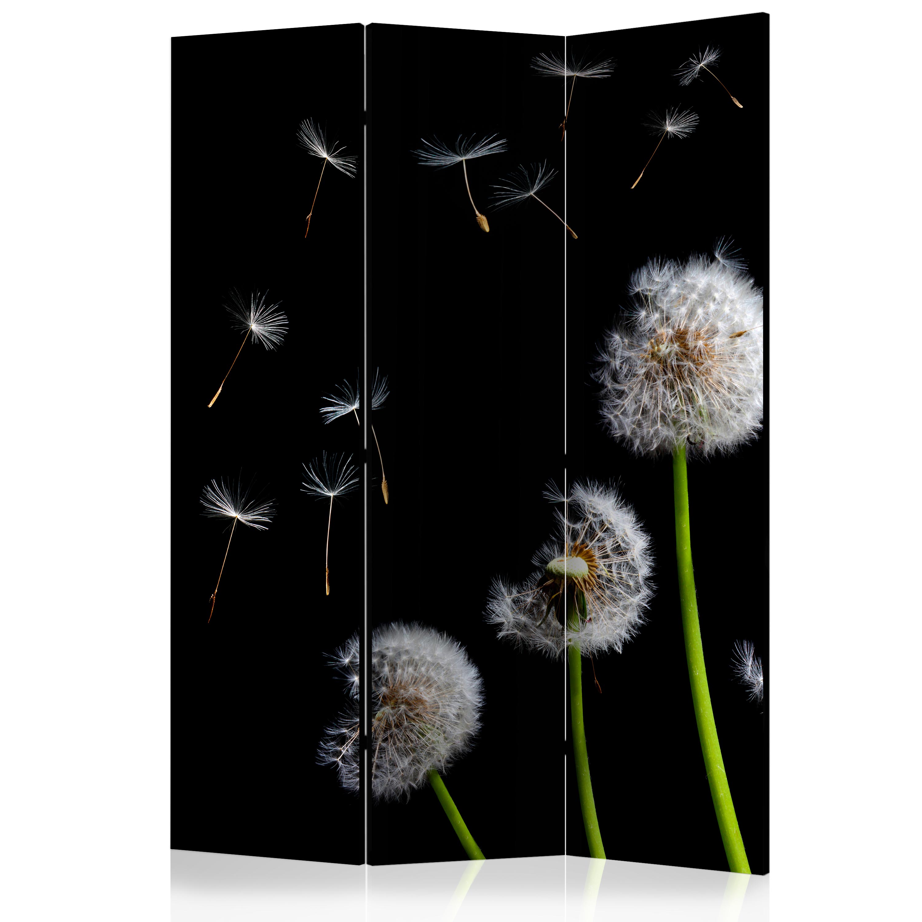 Room Divider - Dandelions in the wind [Room Dividers] - 135x172