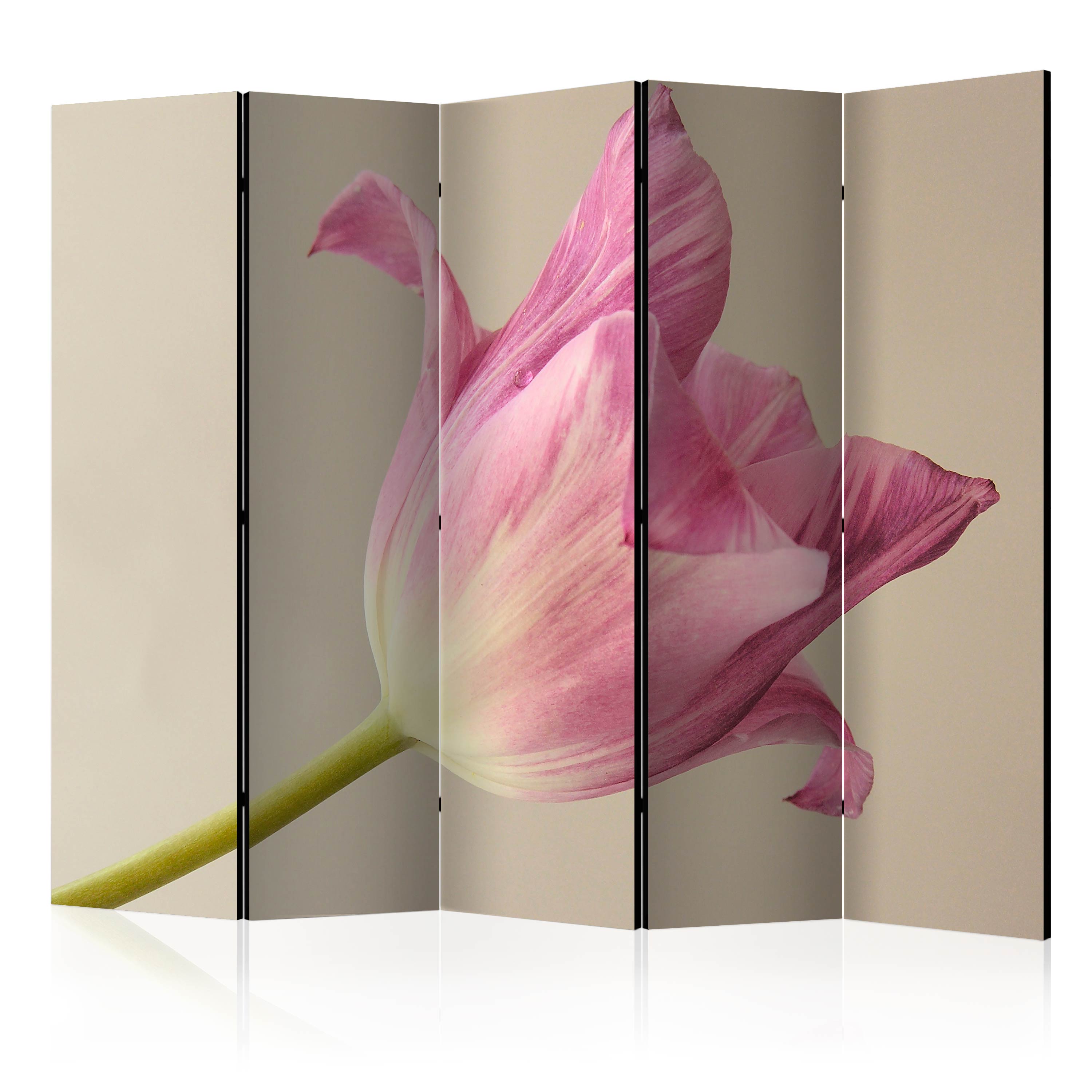 Room Divider - Pink tulip II [Room Dividers] - 225x172