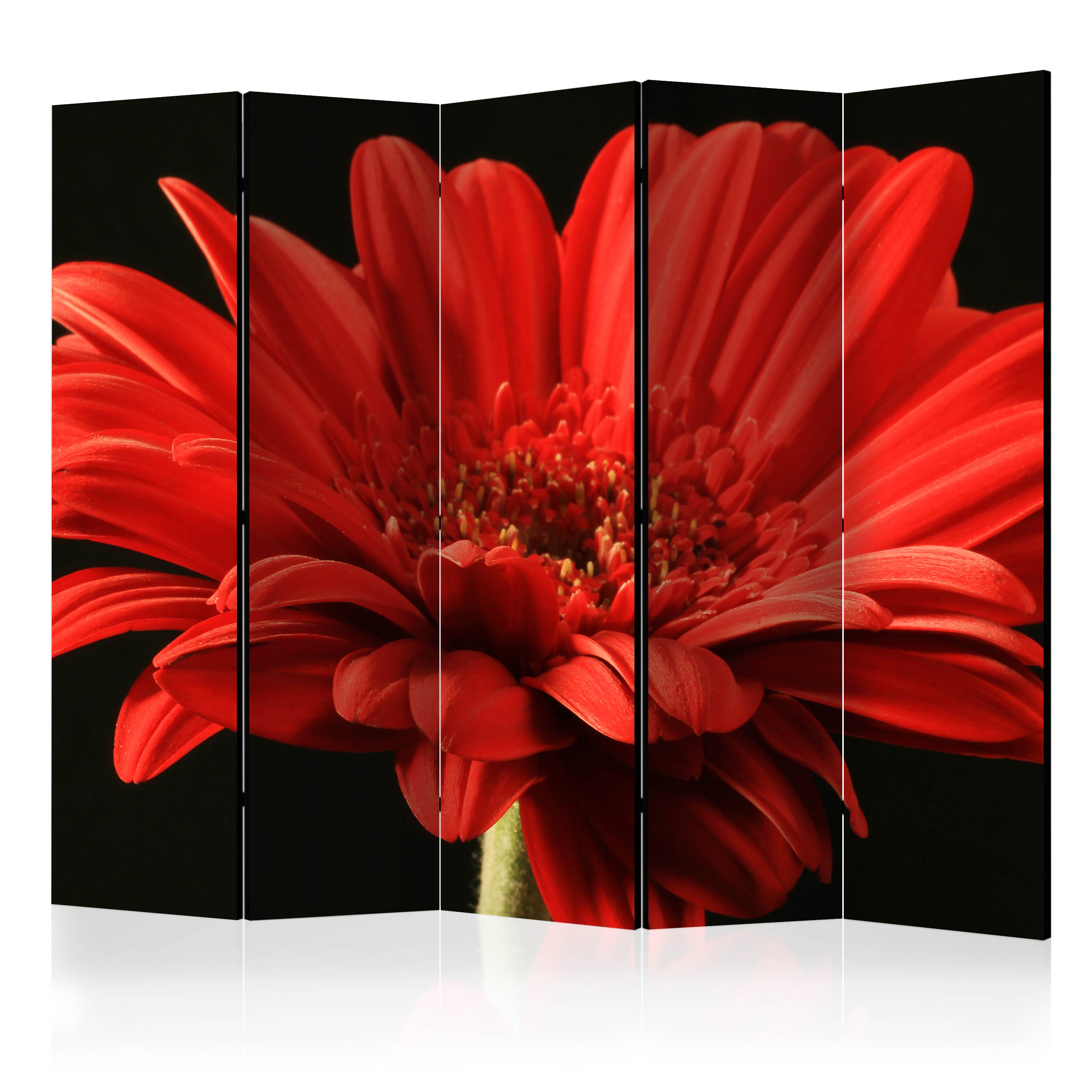 Room Divider - Red gerbera flower II [Room Dividers] - 225x172