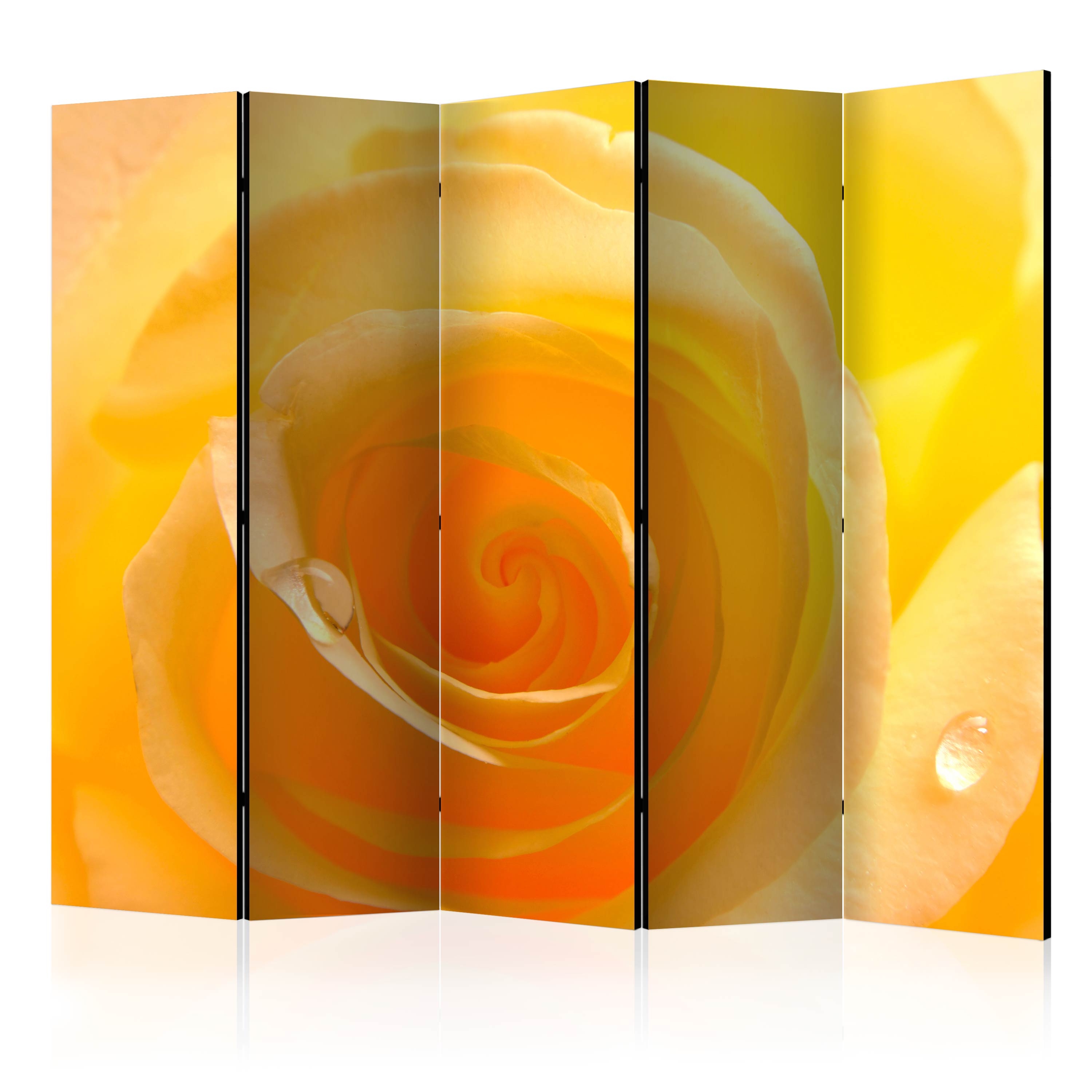 Room Divider - Yellow rose II [Room Dividers] - 225x172