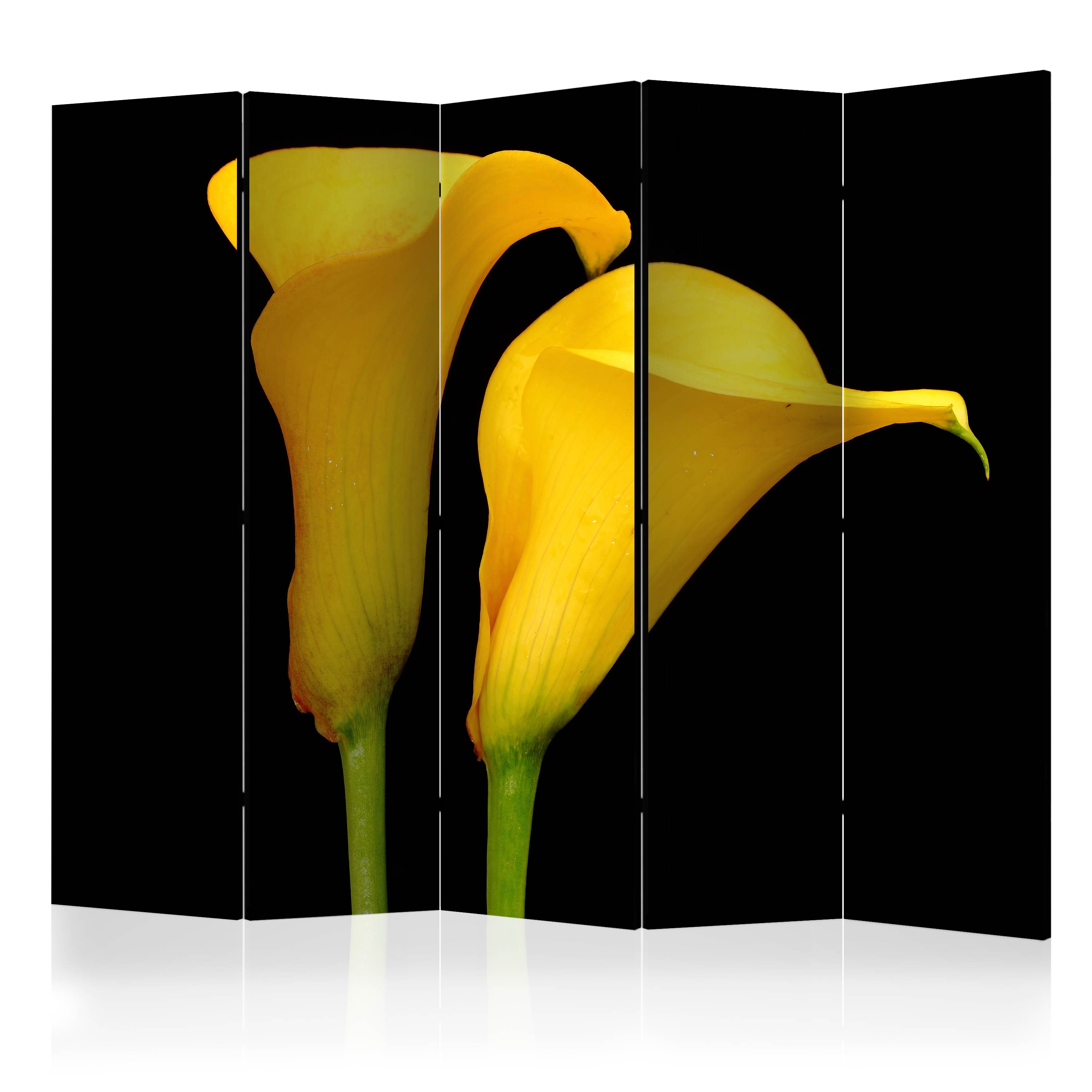 Room Divider - Two yellow calla flowers on a black background II [Room Dividers] - 225x172