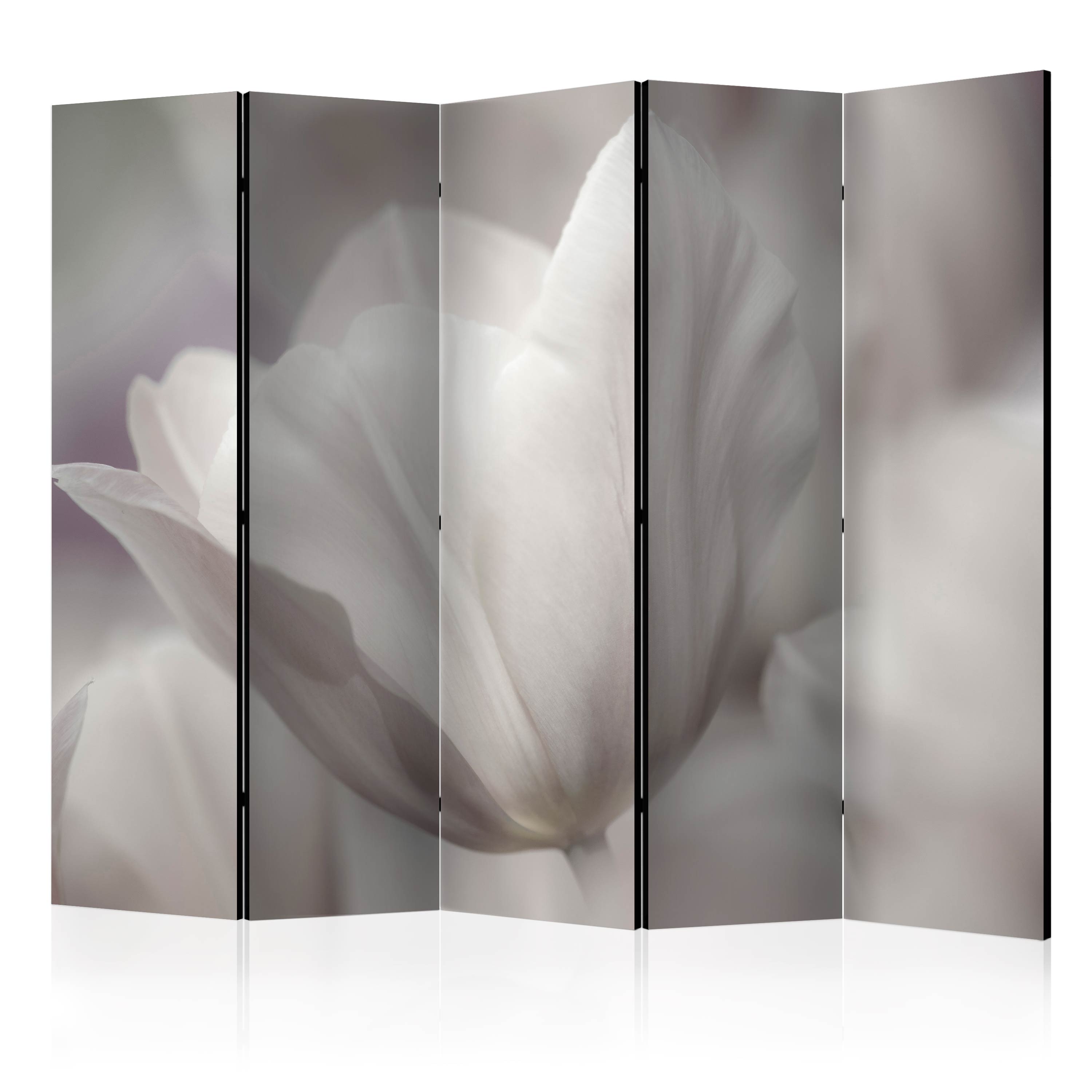 Room Divider - Tulip - black and white photo II [Room Dividers] - 225x172