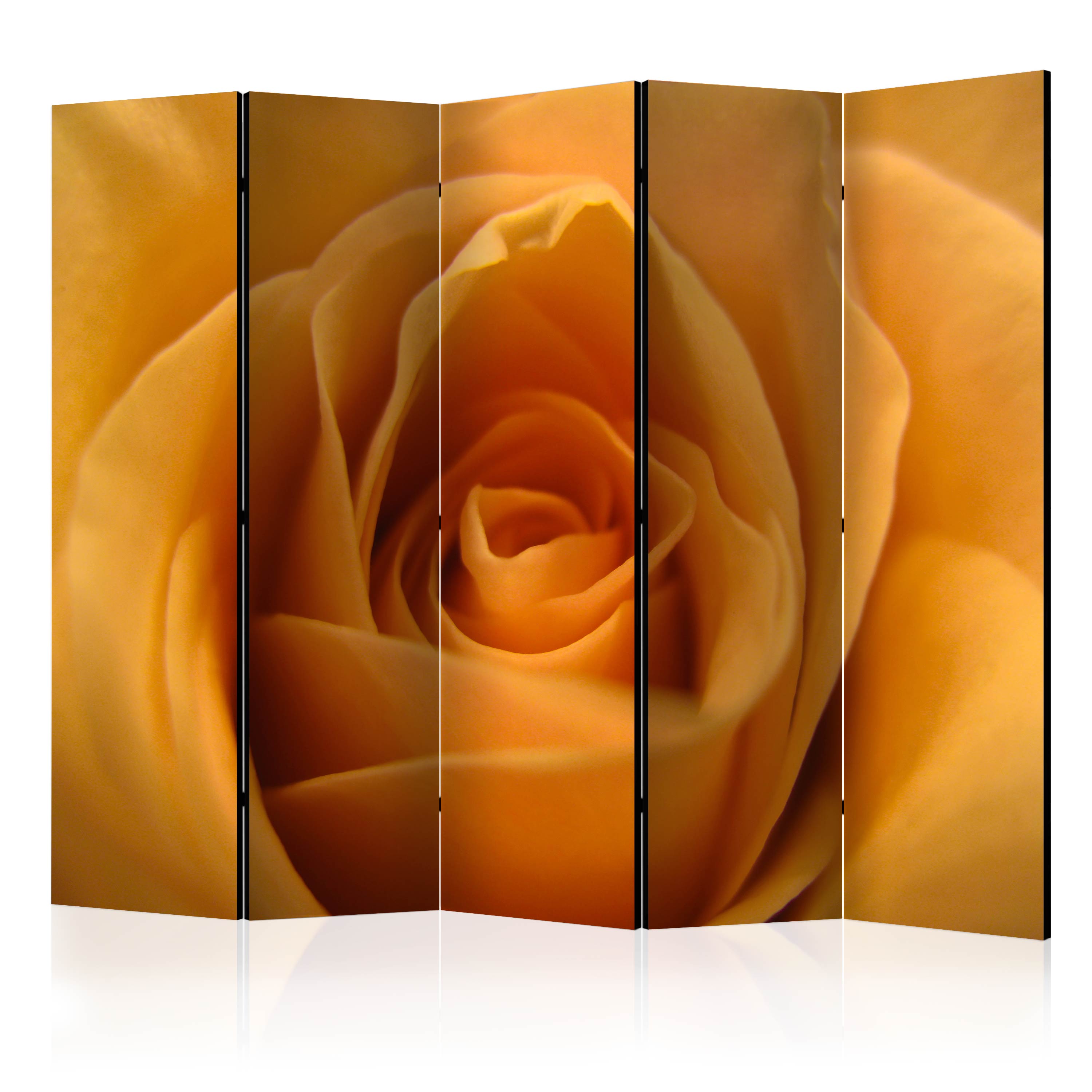 Room Divider - Yellow rose – a symbol of friendship II [Room Dividers] - 225x172
