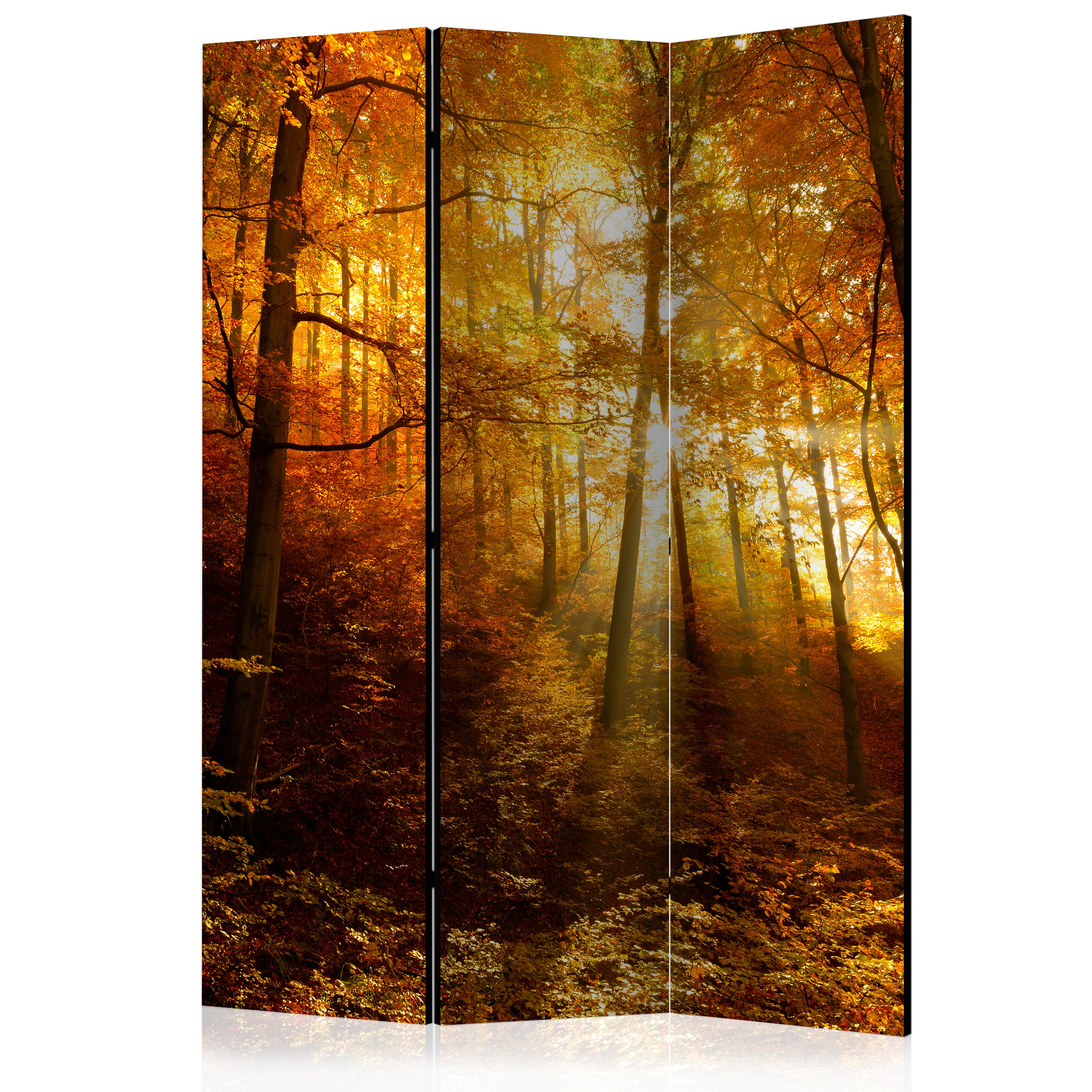 Room Divider - Autumn Illumination [Room Dividers] - 135x172