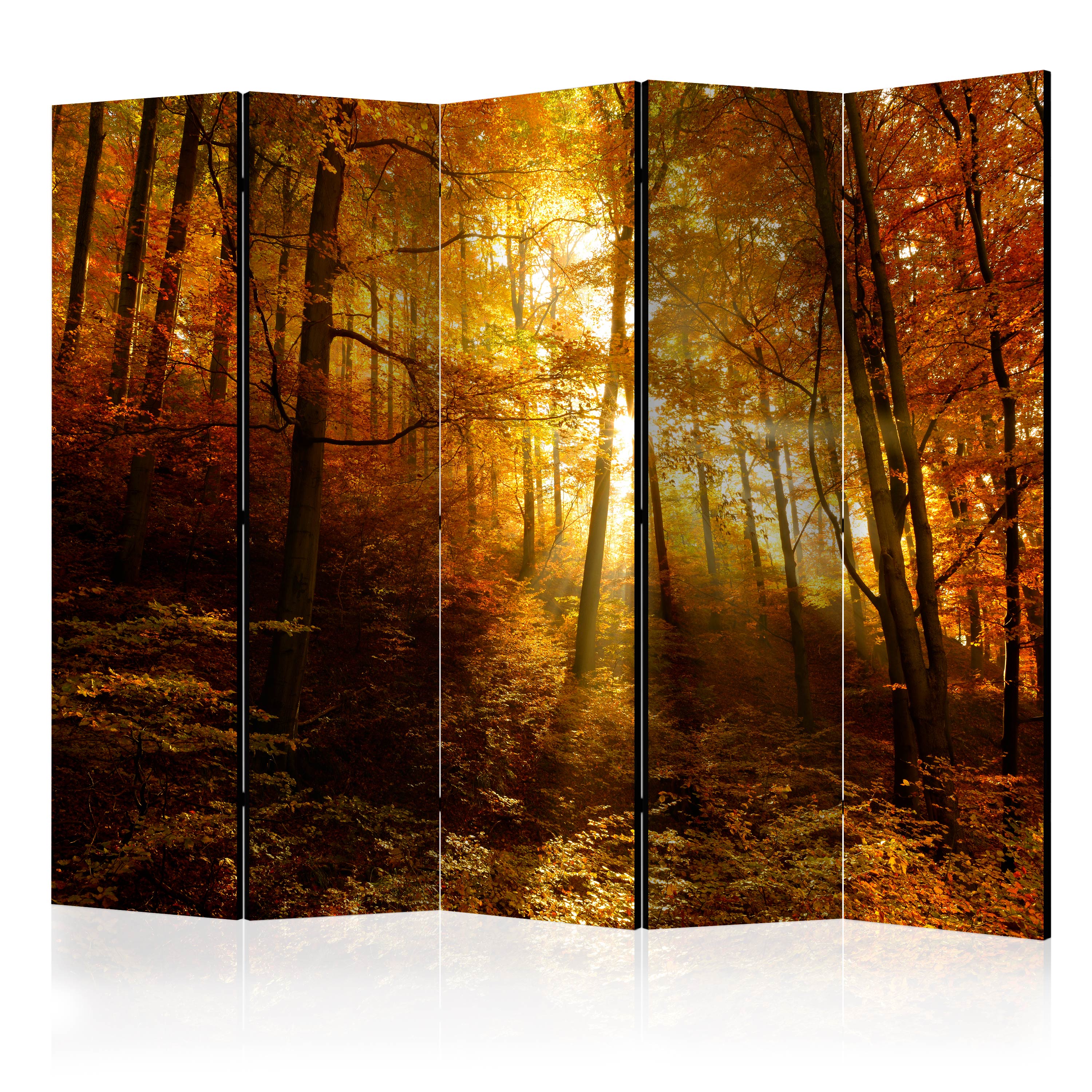 Room Divider - Autumn Illumination II [Room Dividers] - 225x172