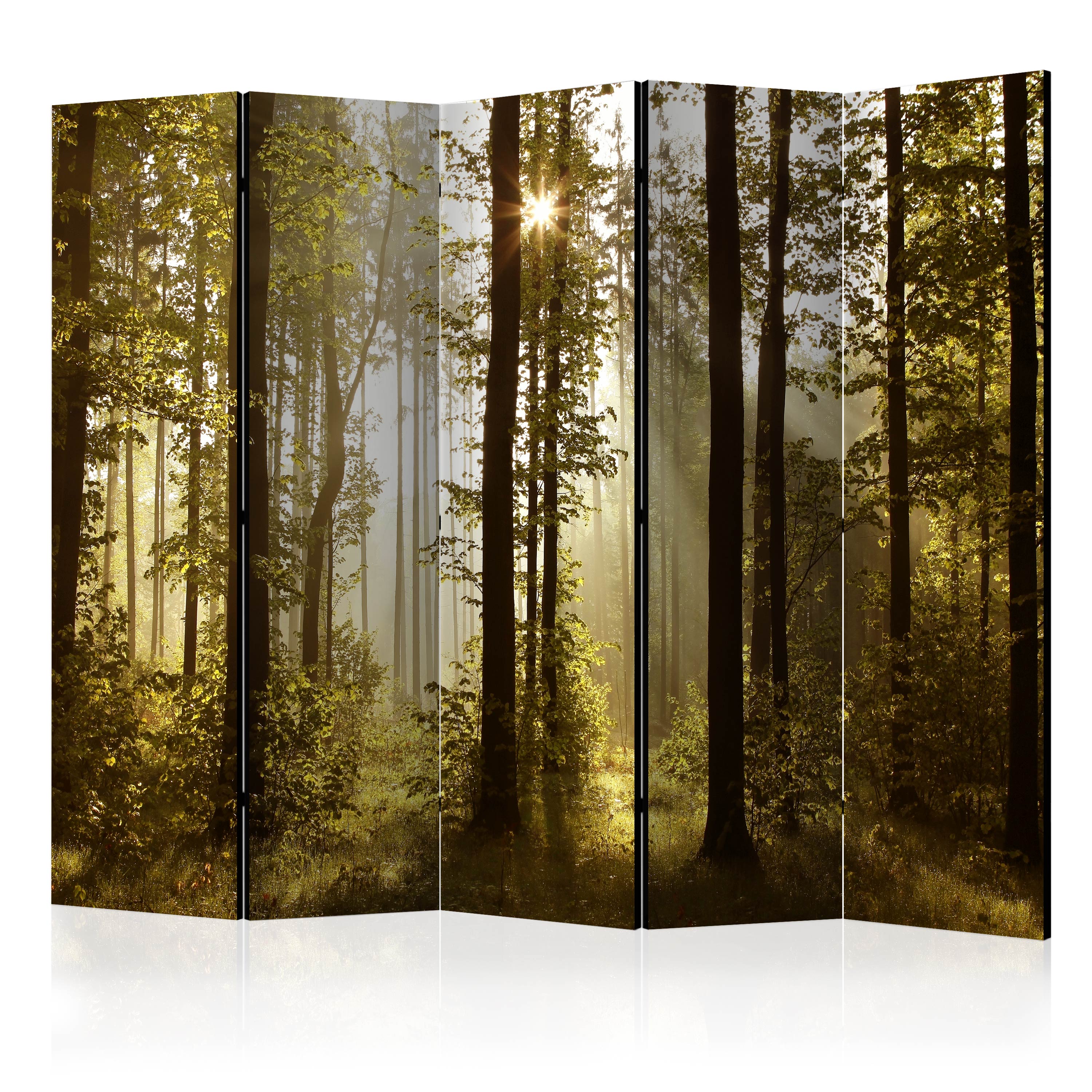 Room Divider - Forest: Morning Sunlight  II [Room Dividers] - 225x172
