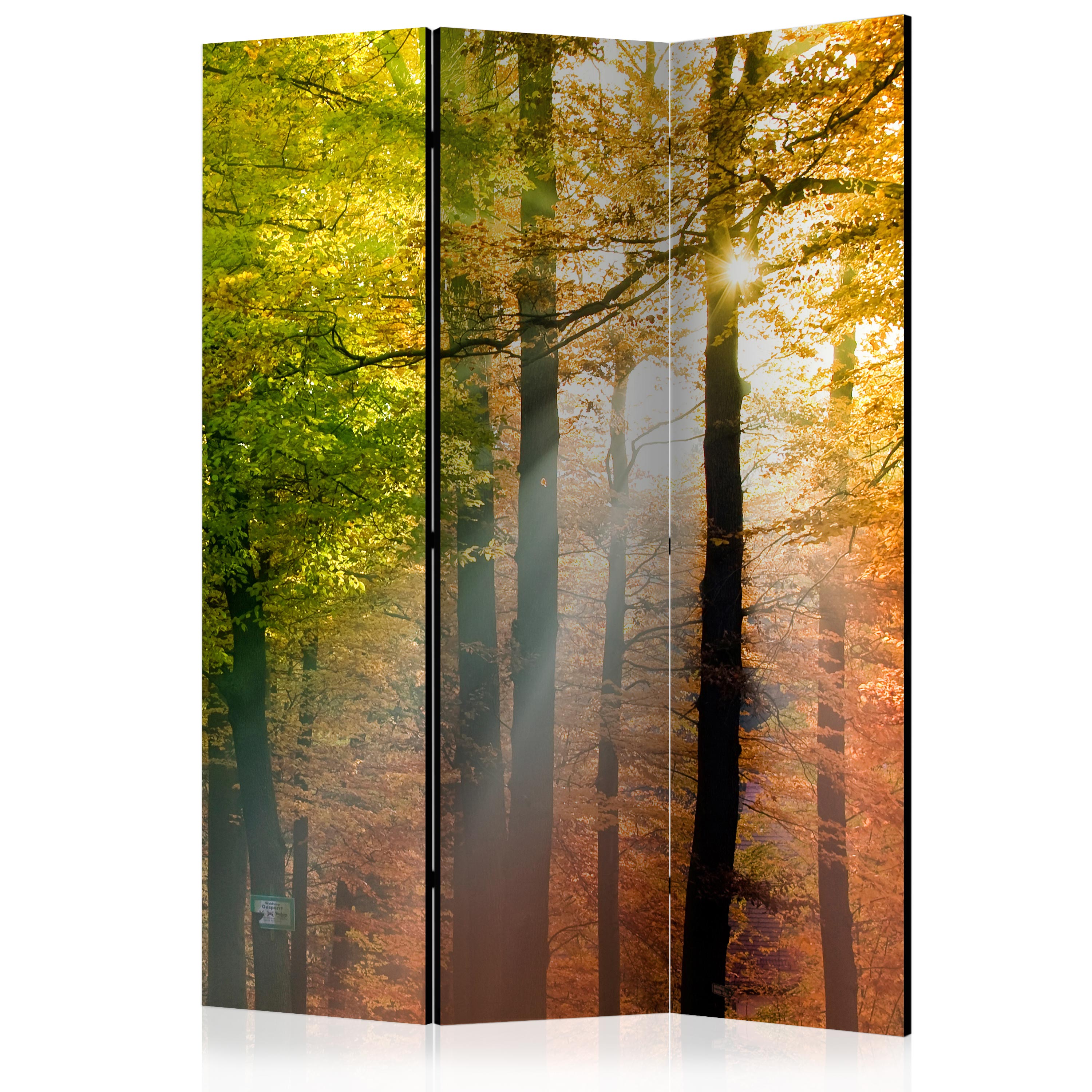 Room Divider - Forest Colours [Room Dividers] - 135x172