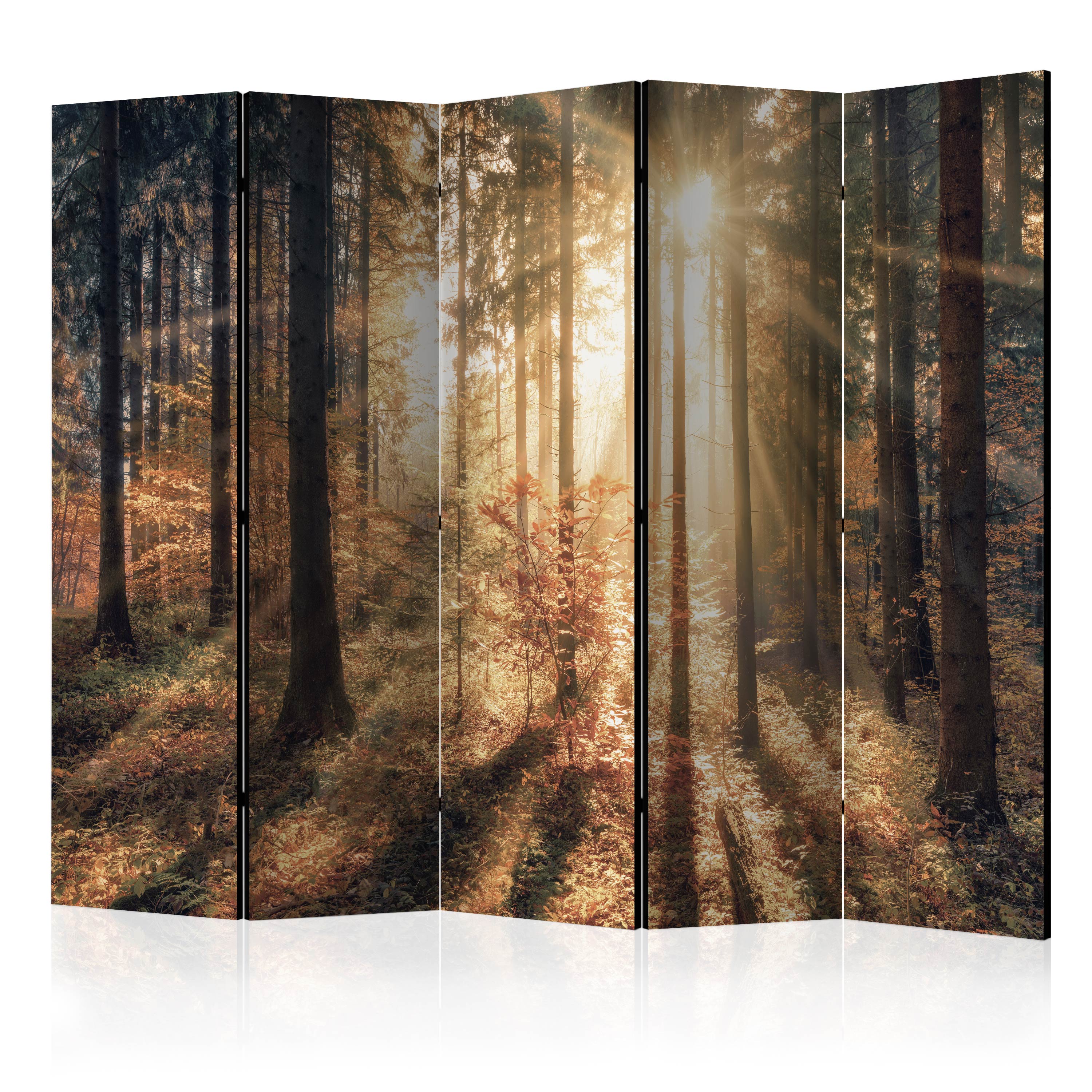Room Divider - Autumnal Forest II [Room Dividers] - 225x172
