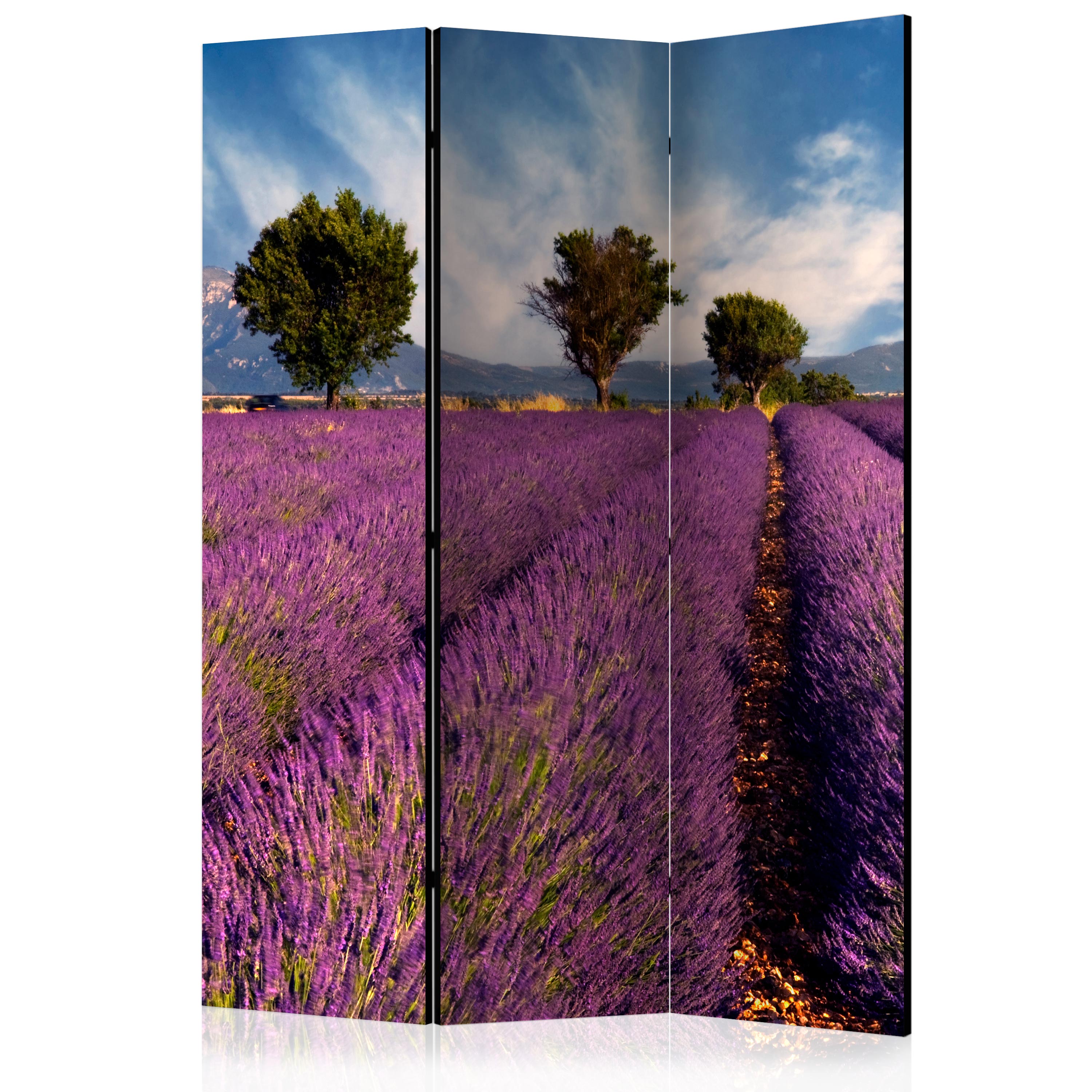 Room Divider - Lavender field in Provence, France [Room Dividers] - 135x172