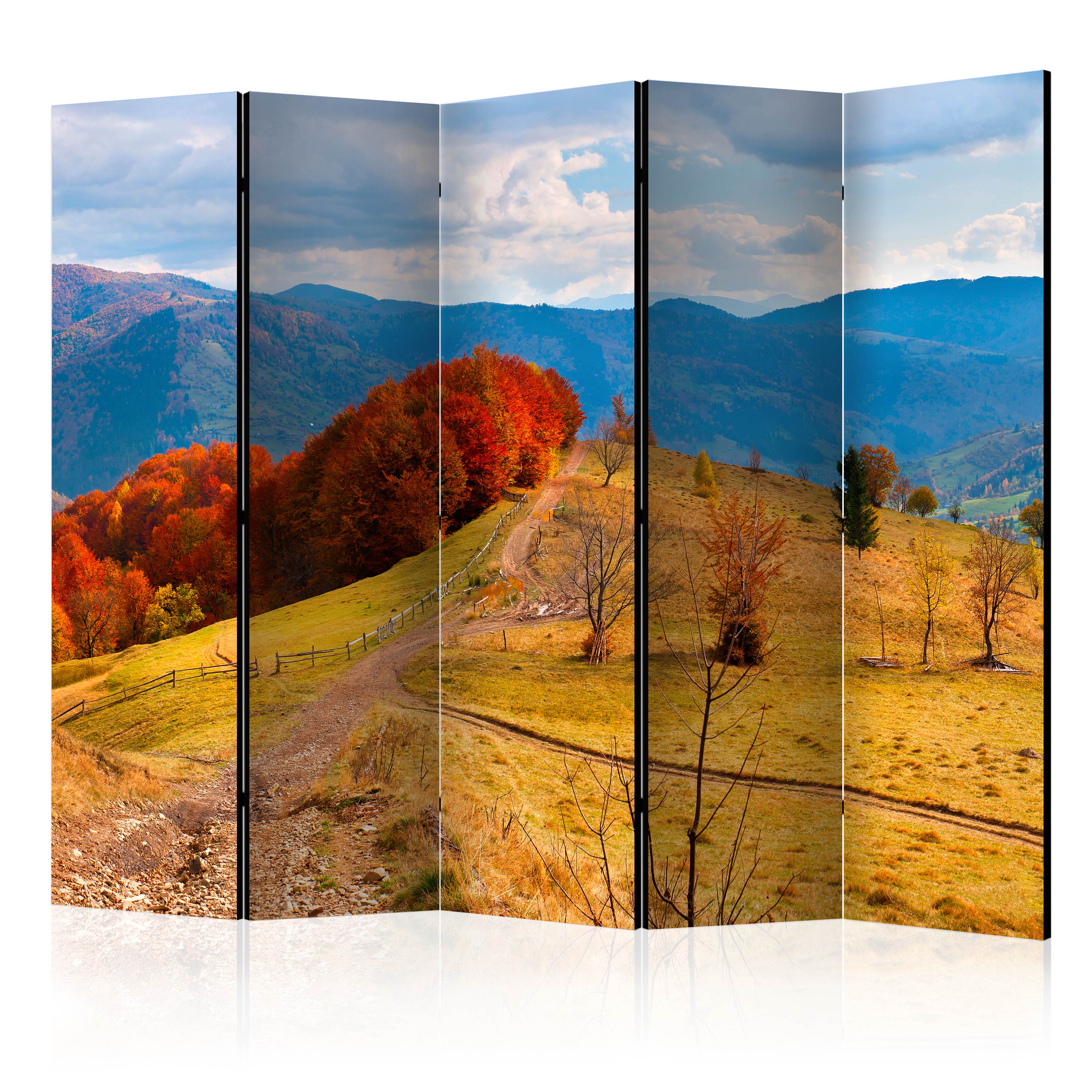 Room Divider - Autumn landscape in the Carpathian mountains II [Room Dividers] - 225x172