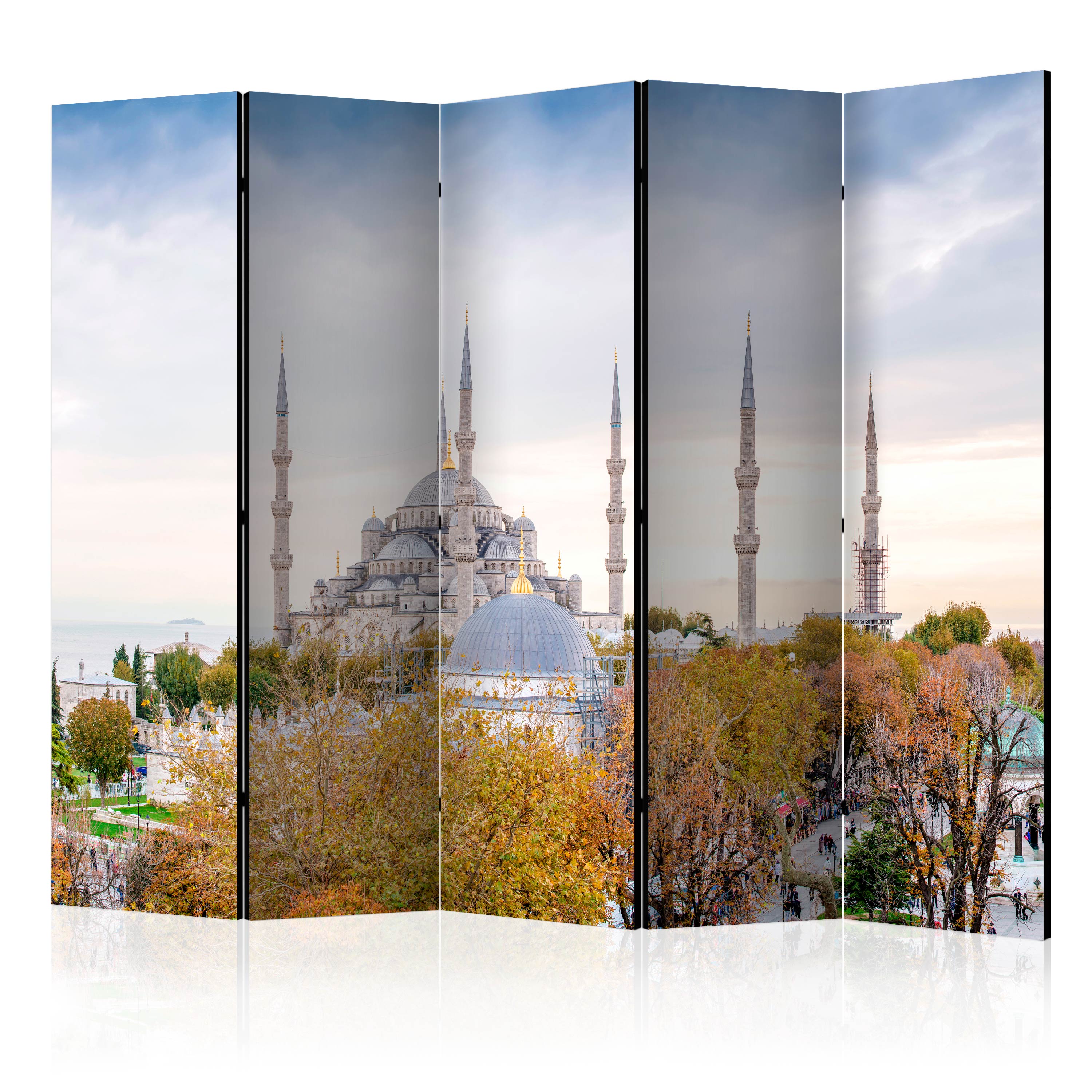 Room Divider - Hagia Sophia - Istanbul II [Room Dividers] - 225x172