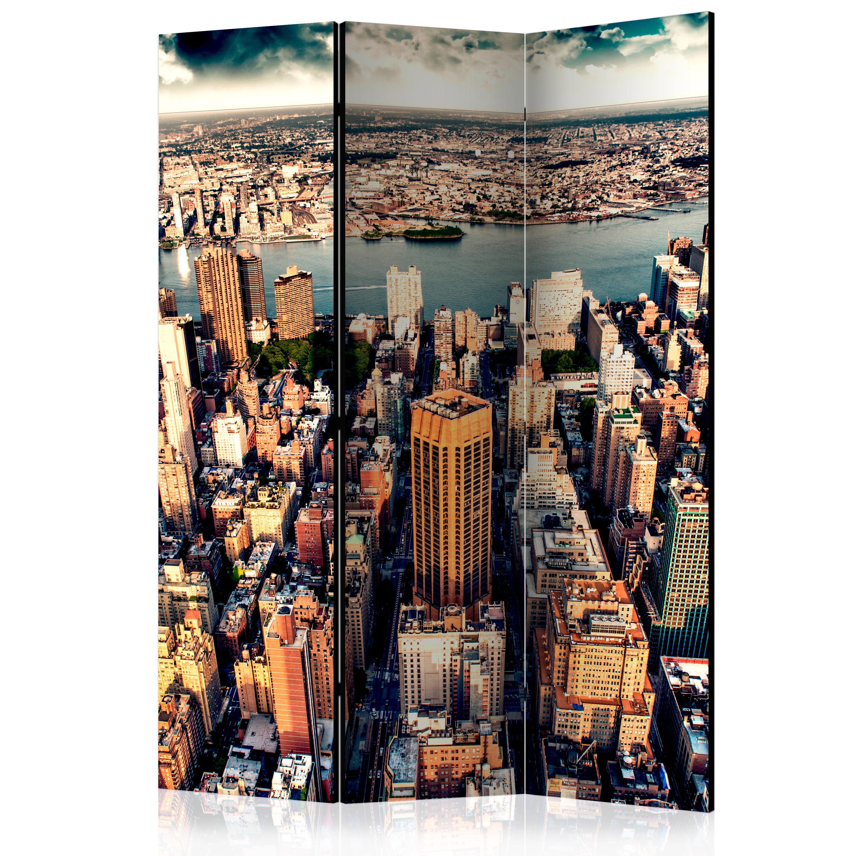 Room Divider - Bird's Eye View of New York [Room Dividers] - 135x172