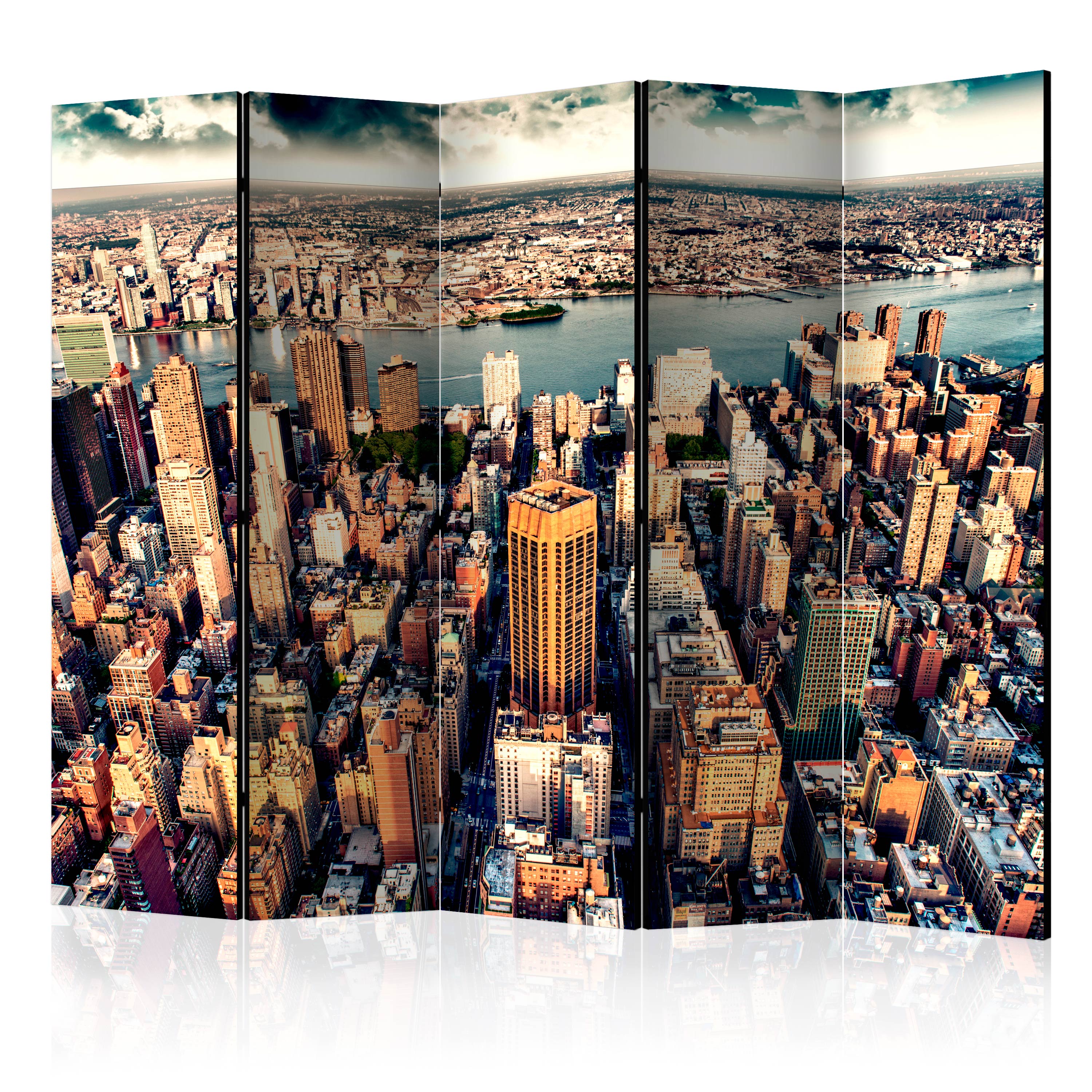 Room Divider - Bird's Eye View of New York II [Room Dividers] - 225x172