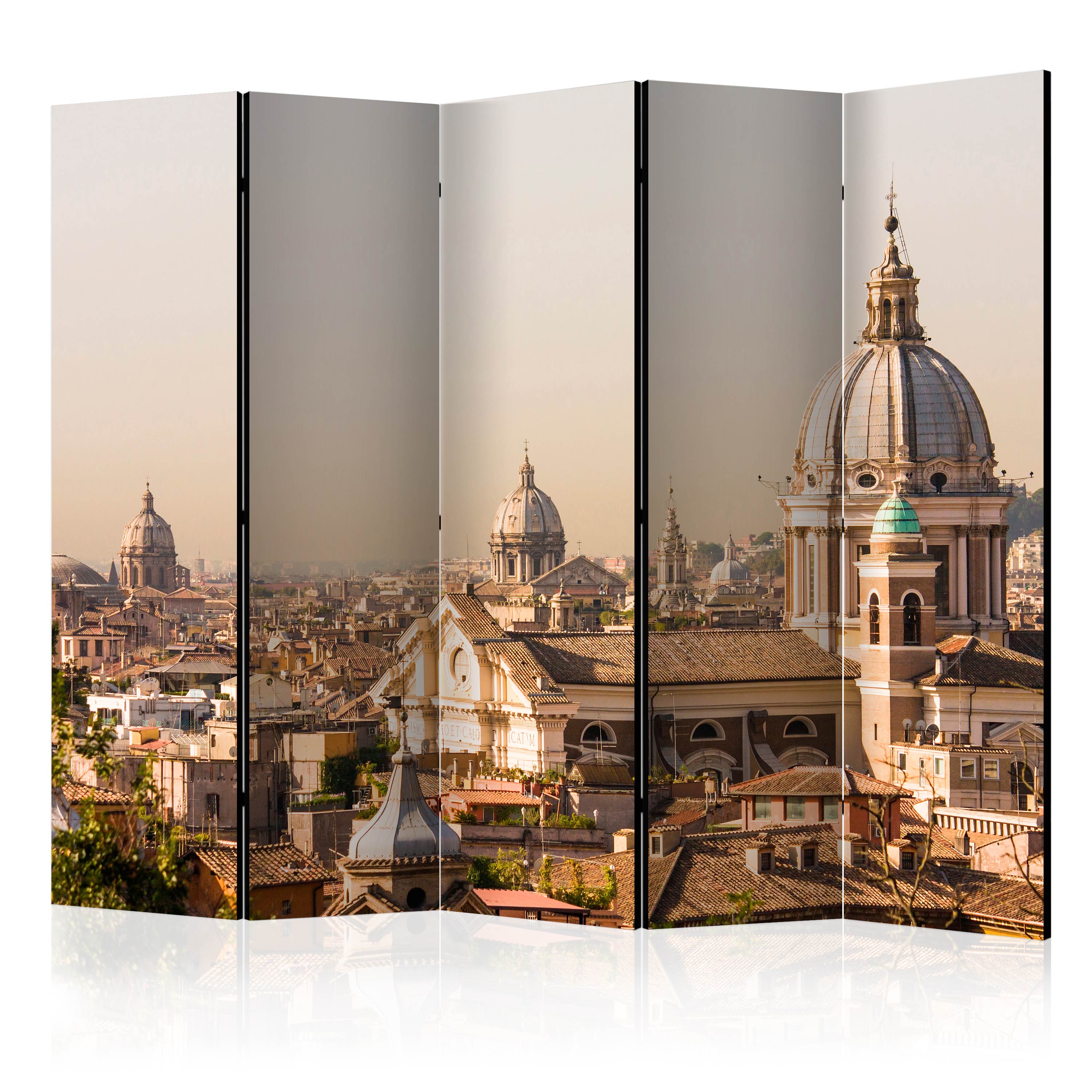 Room Divider - Rome - bird's eye view II [Room Dividers] - 225x172