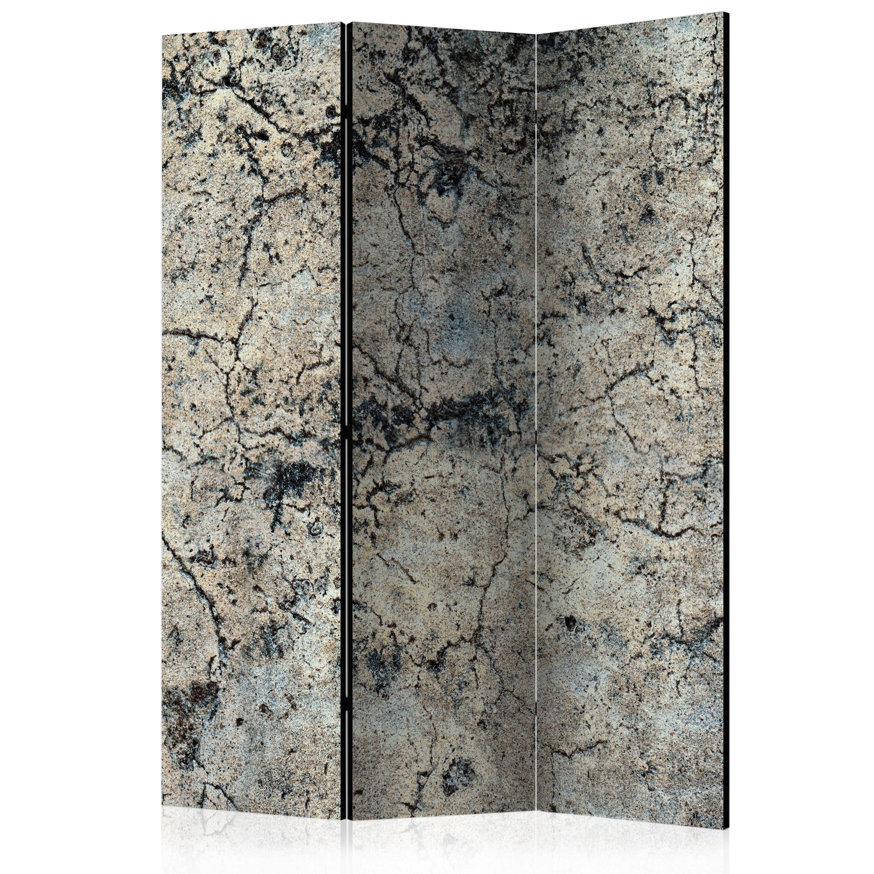 Room Divider - Cracked Stone [Room Dividers] - 135x172