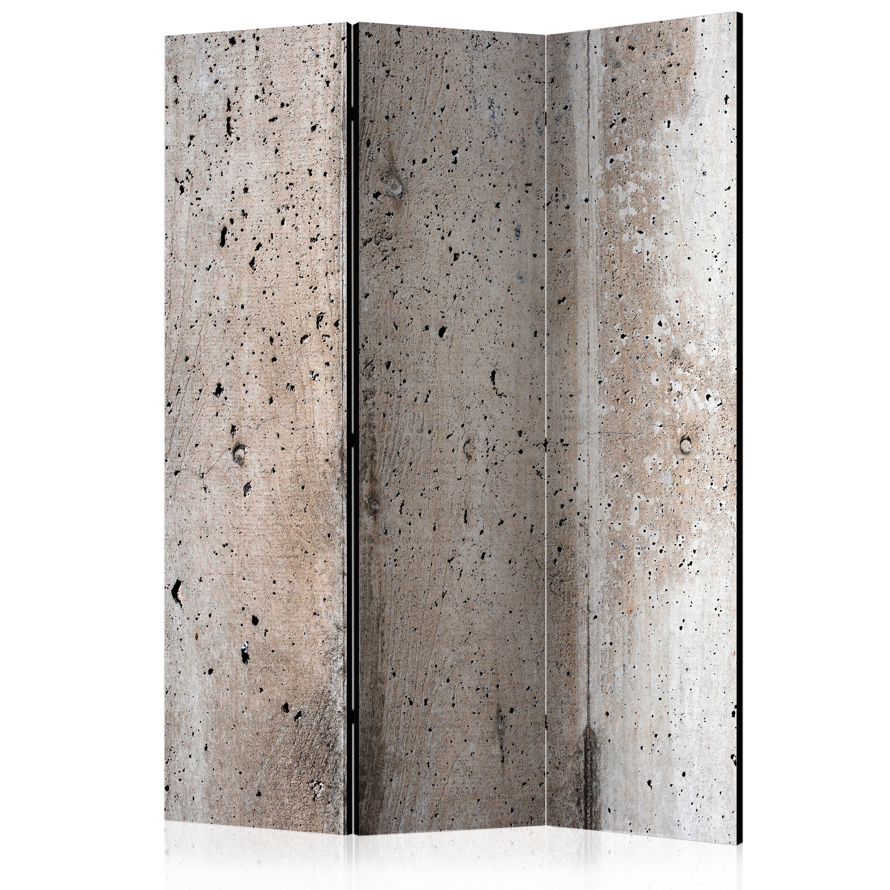 Room Divider - Old Concrete [Room Dividers] - 135x172